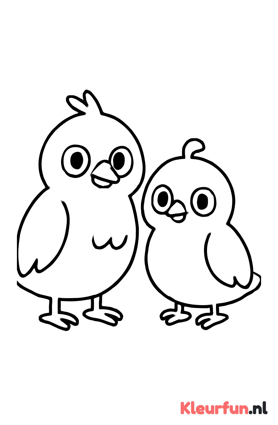 Paar grote simpele vogels