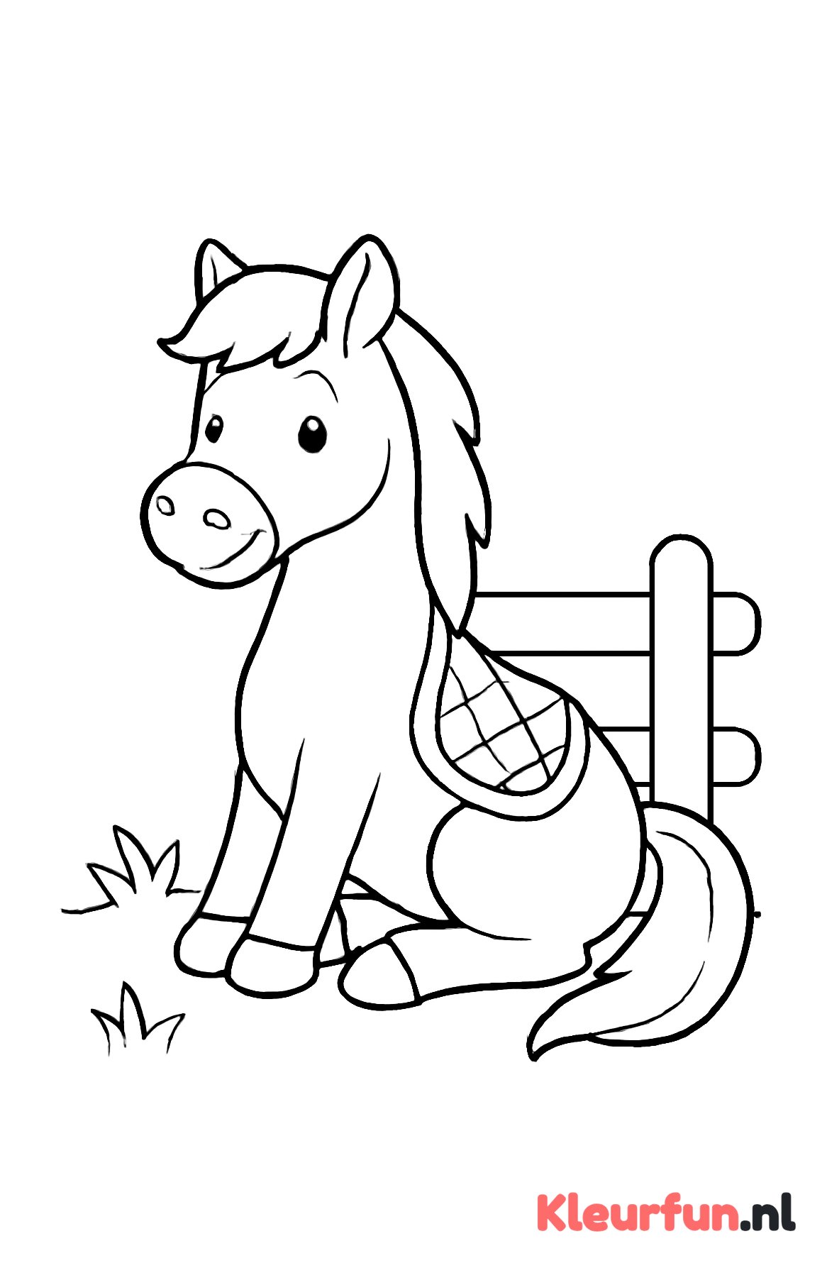 Paard bij hek