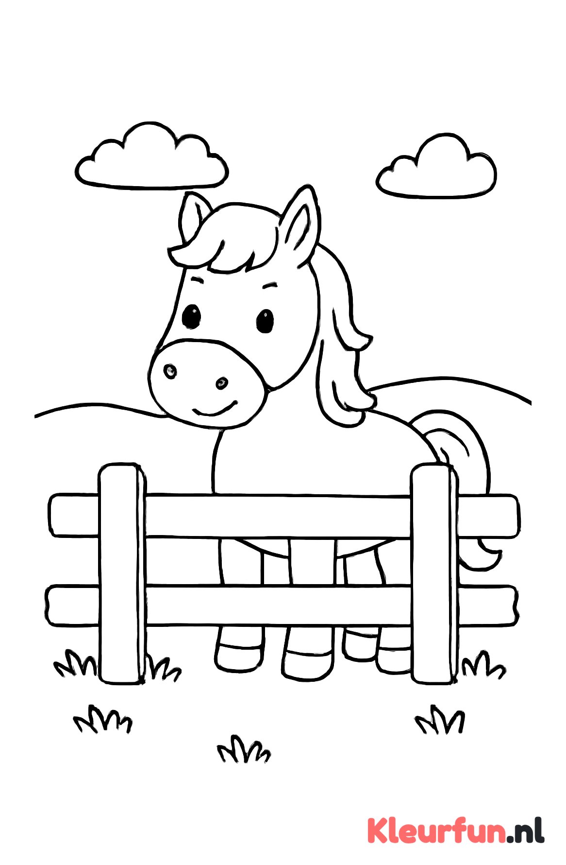 Paard bij het hek