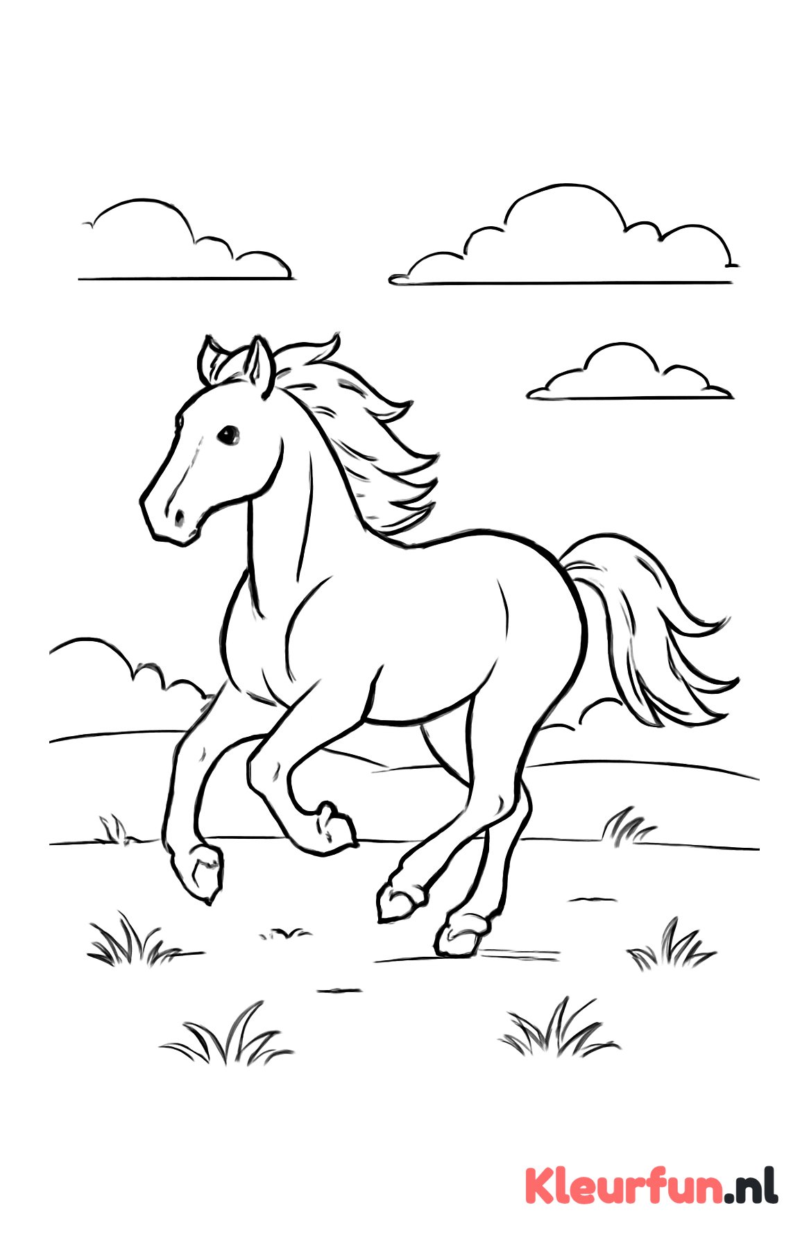 Paard dat galoppeert