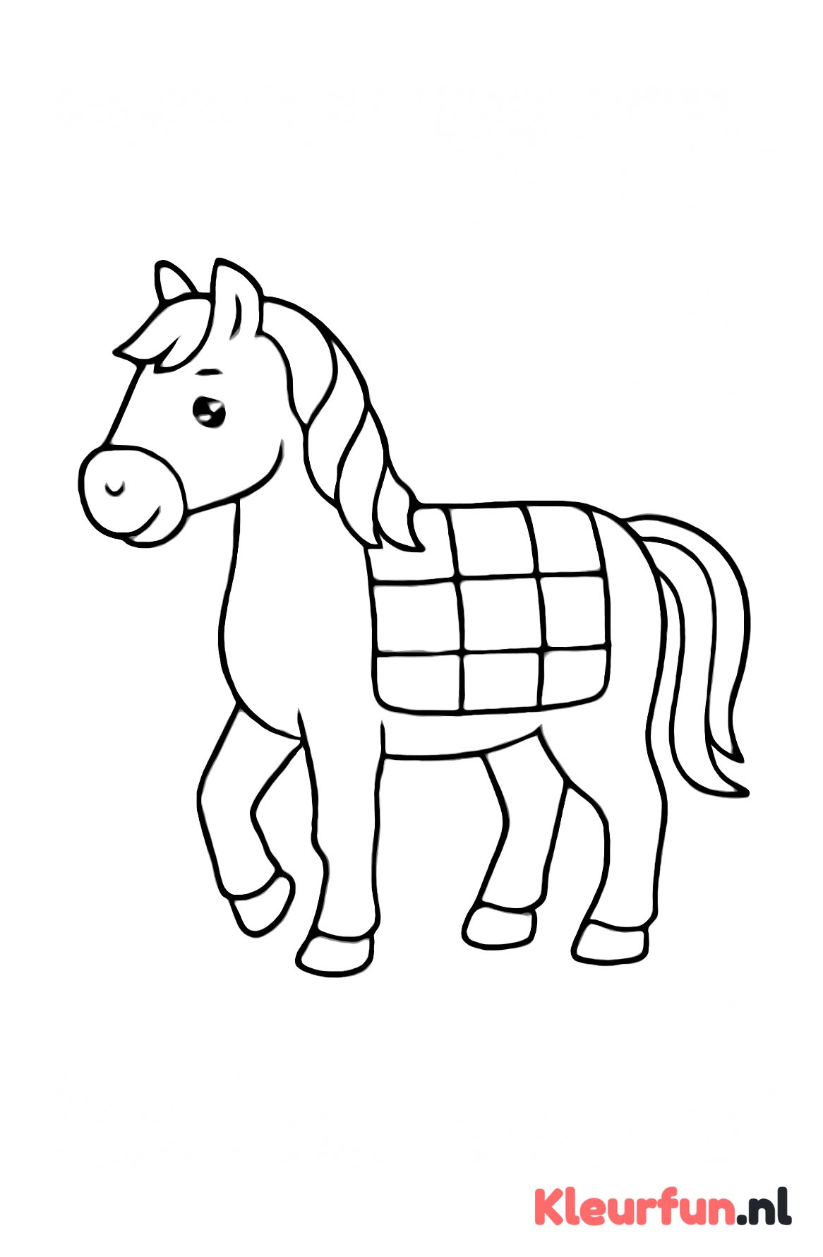 Paard met deken