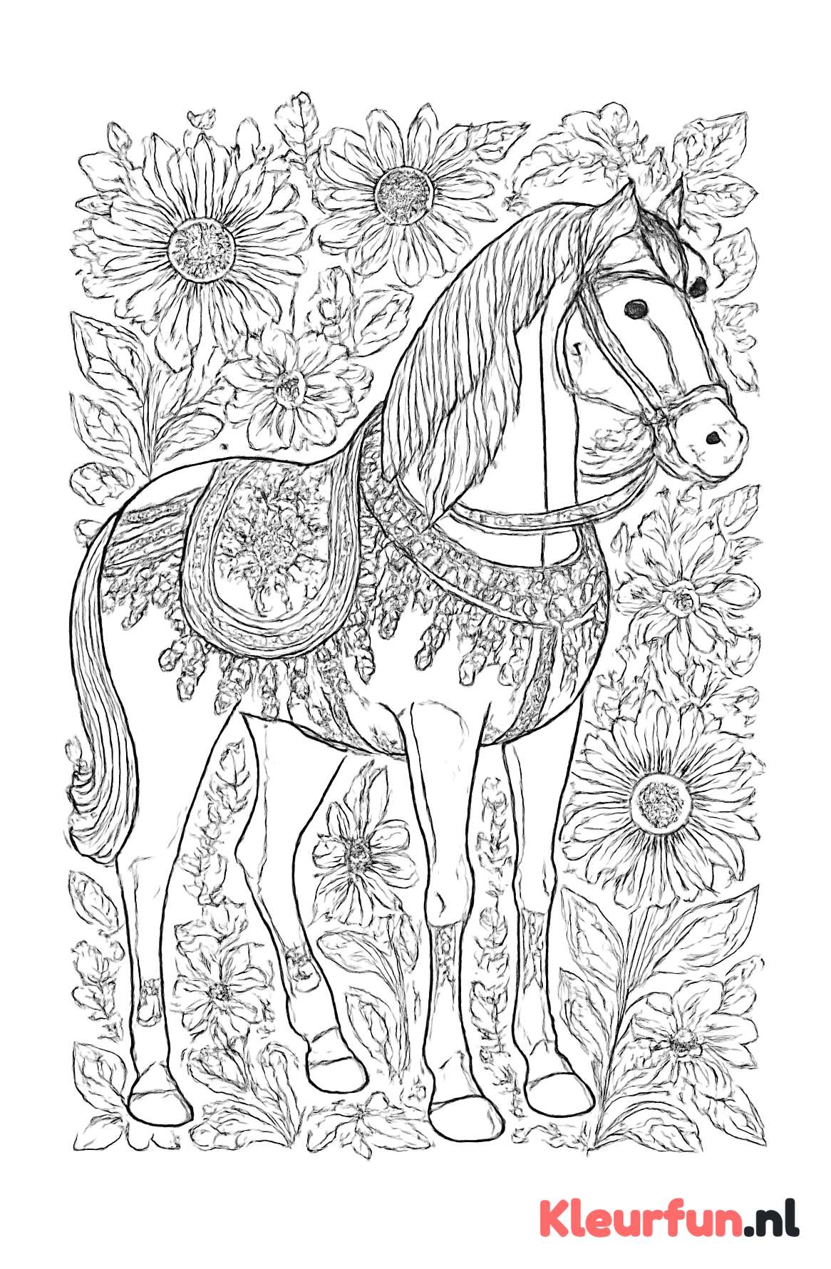 Paard met versieringen en bloemen