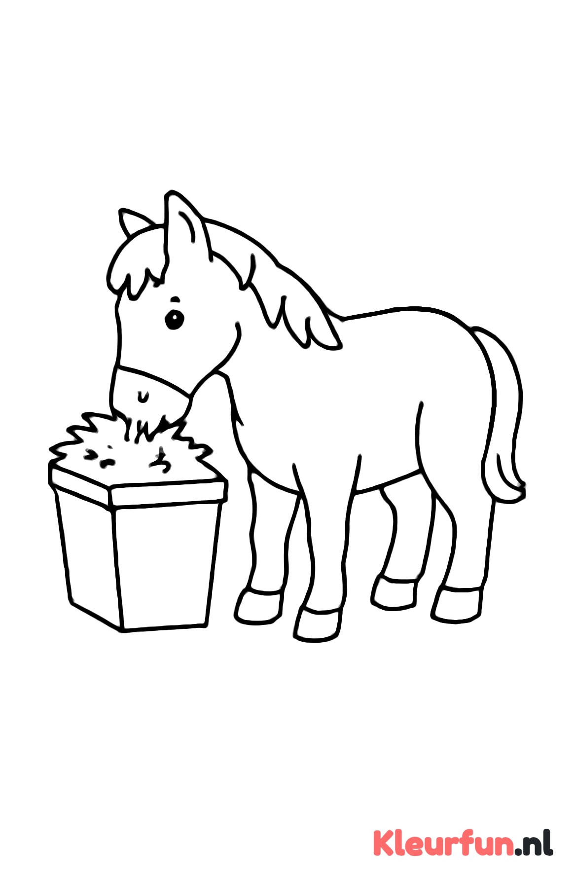 Paard met voerbak