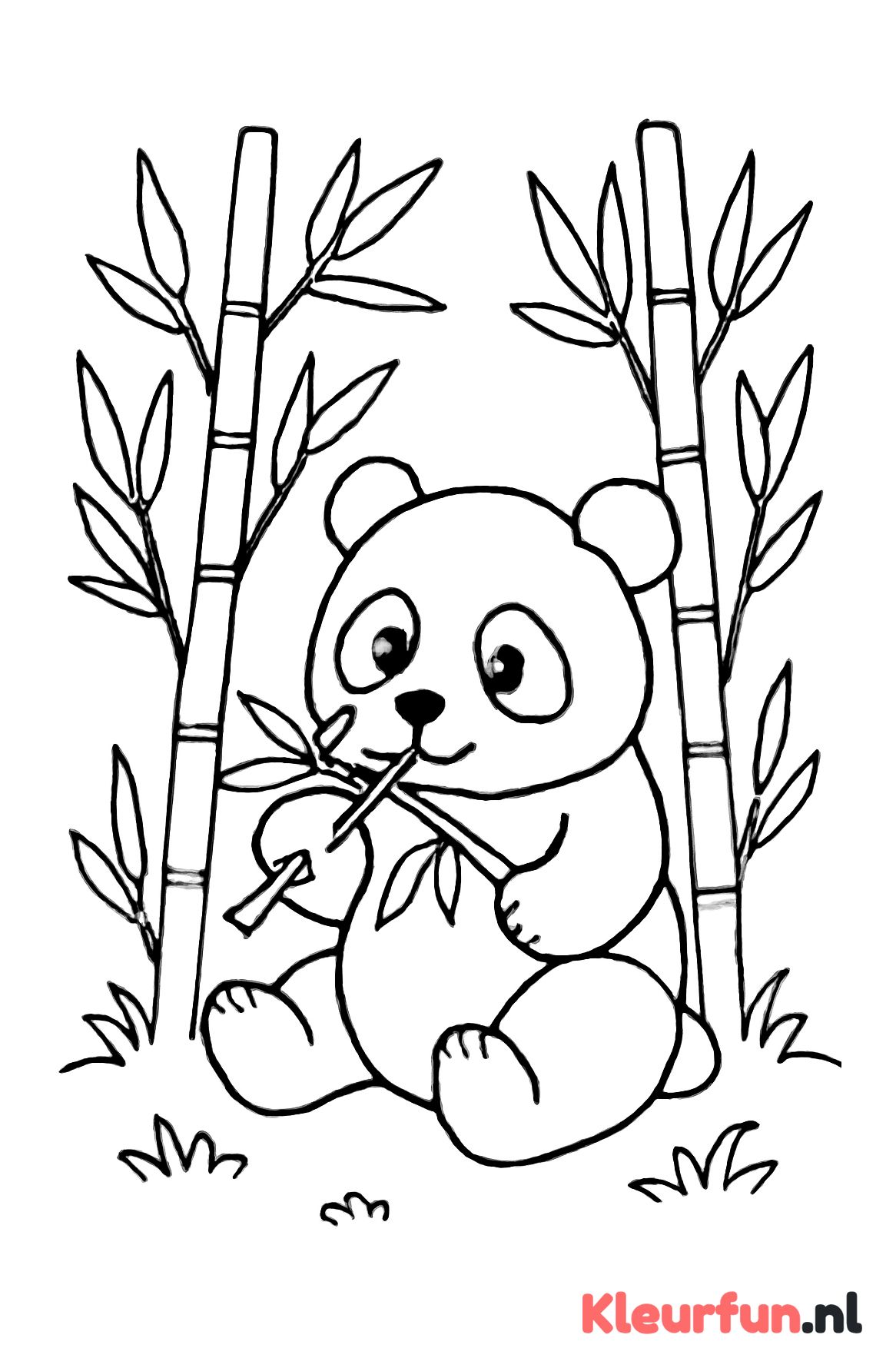 Panda die bamboe eet