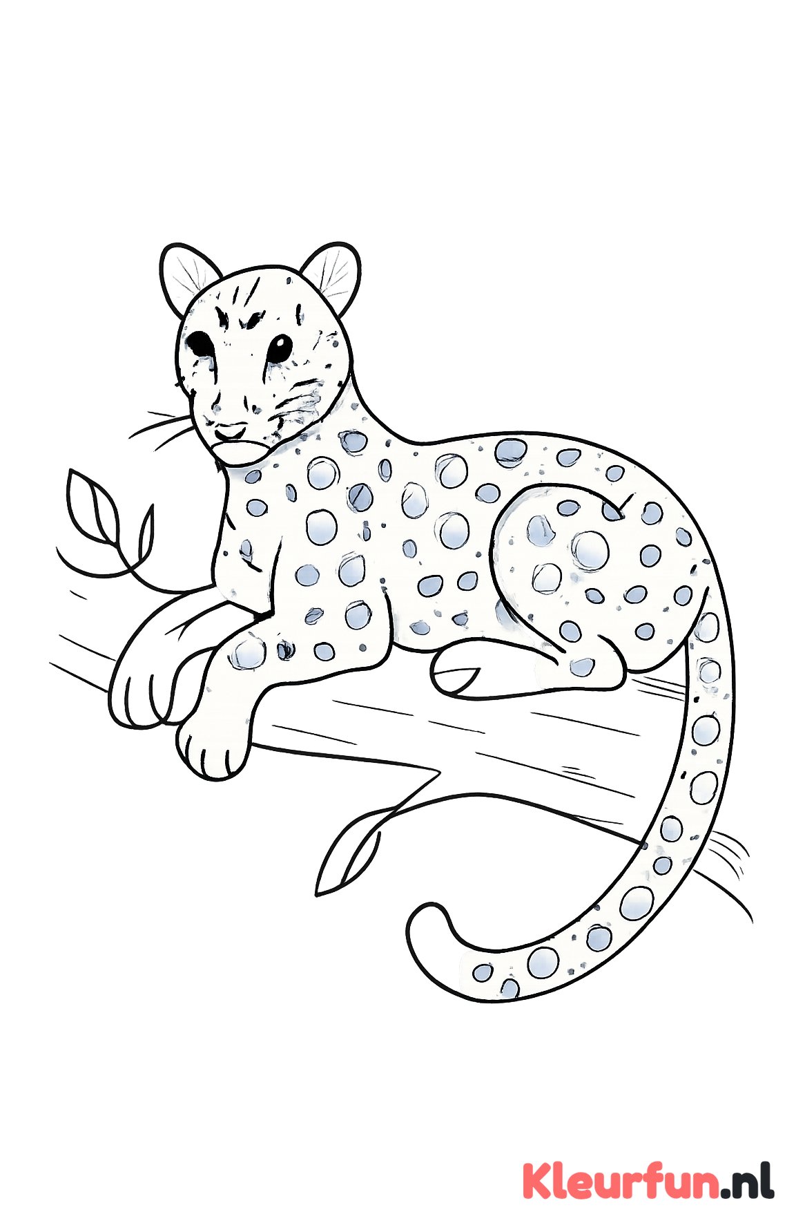 Panter op een boomtak