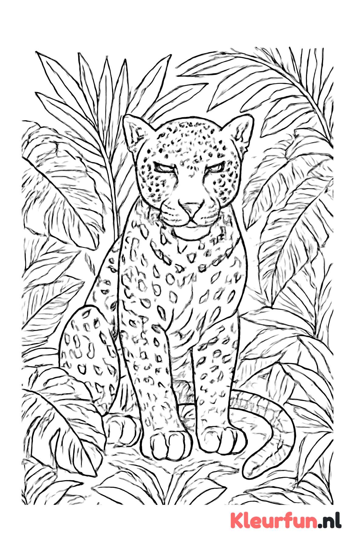 Panter in de jungle