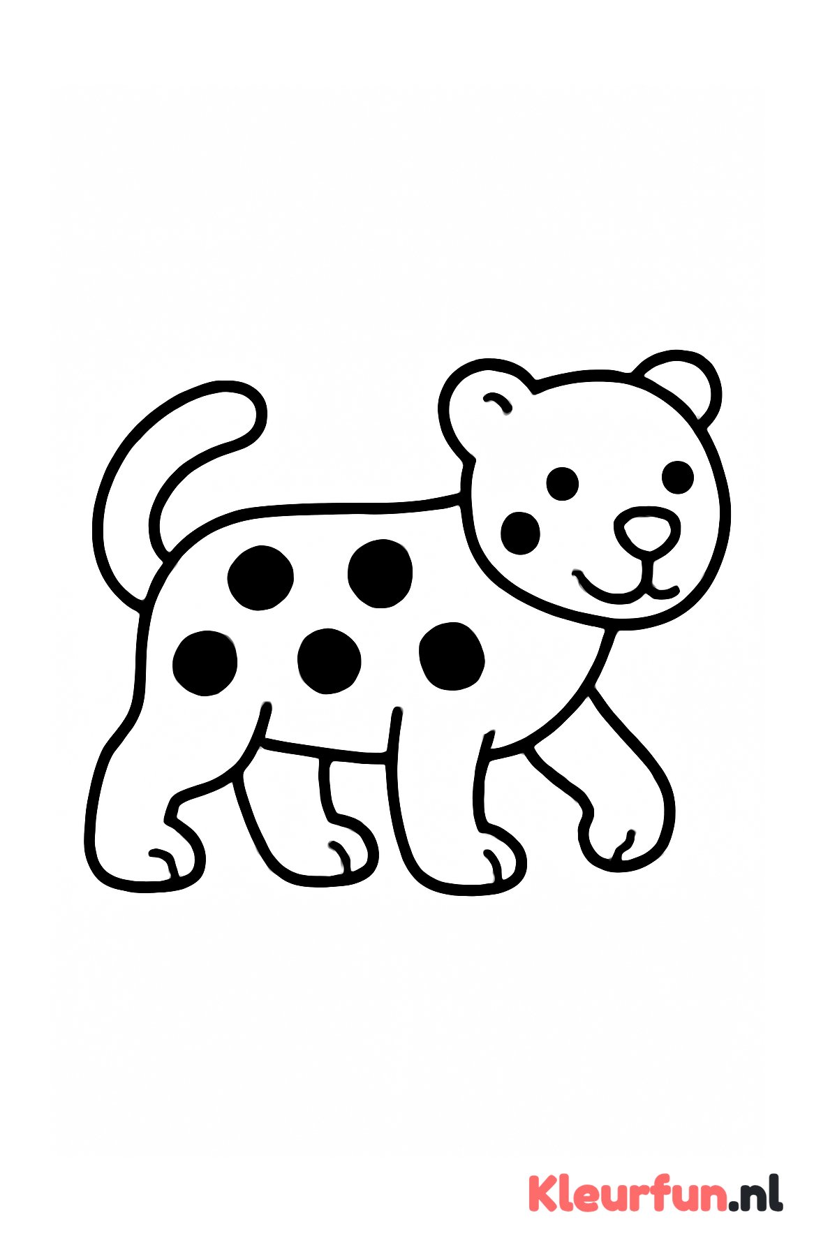 Panter loopt groot en simpel