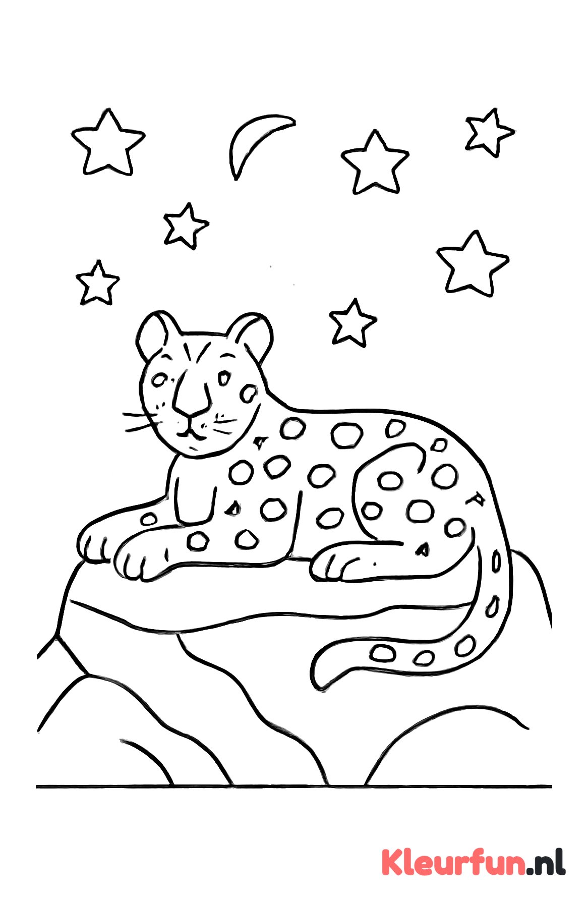Panter onder de sterren