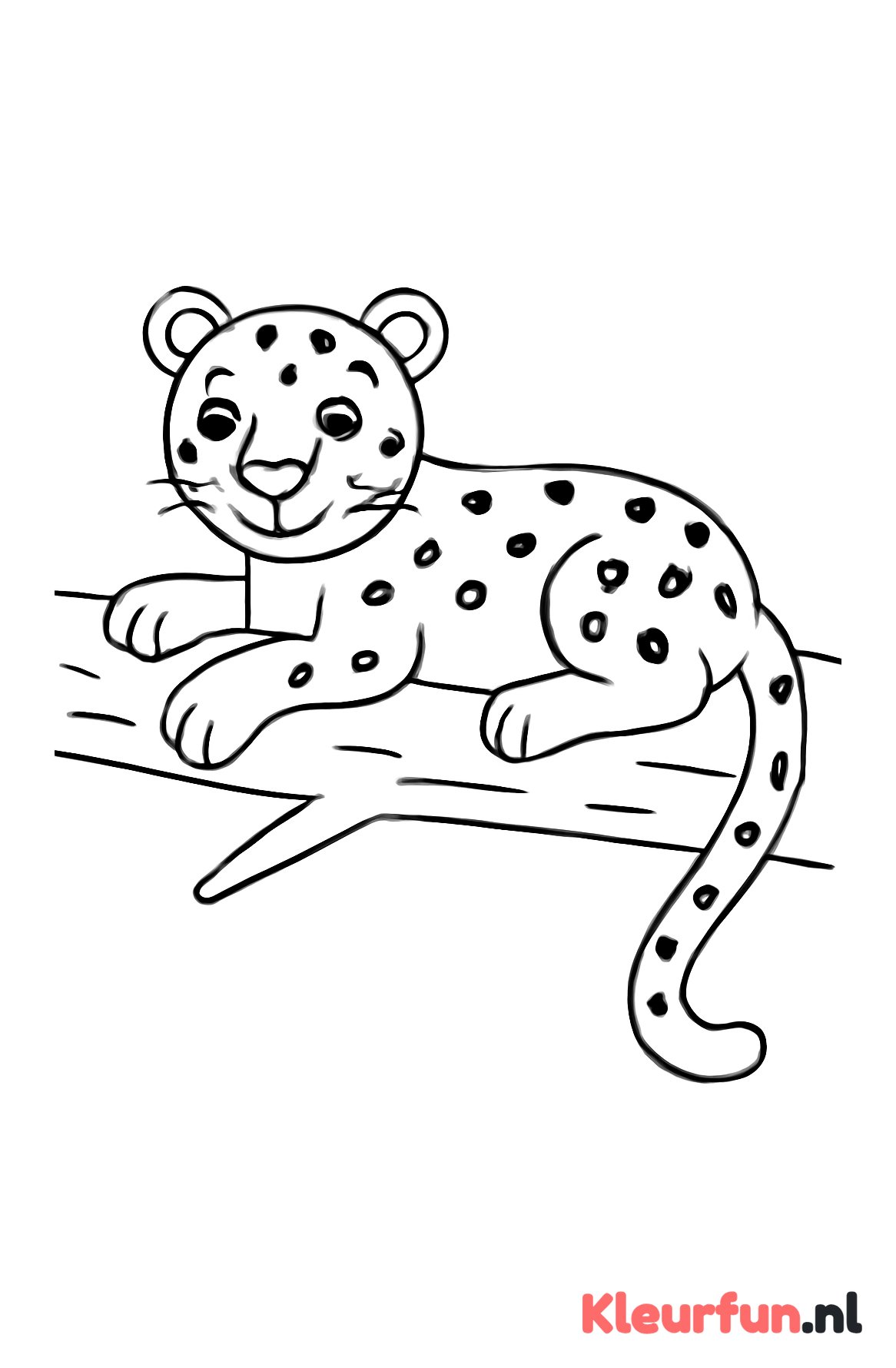 Panter op een tak