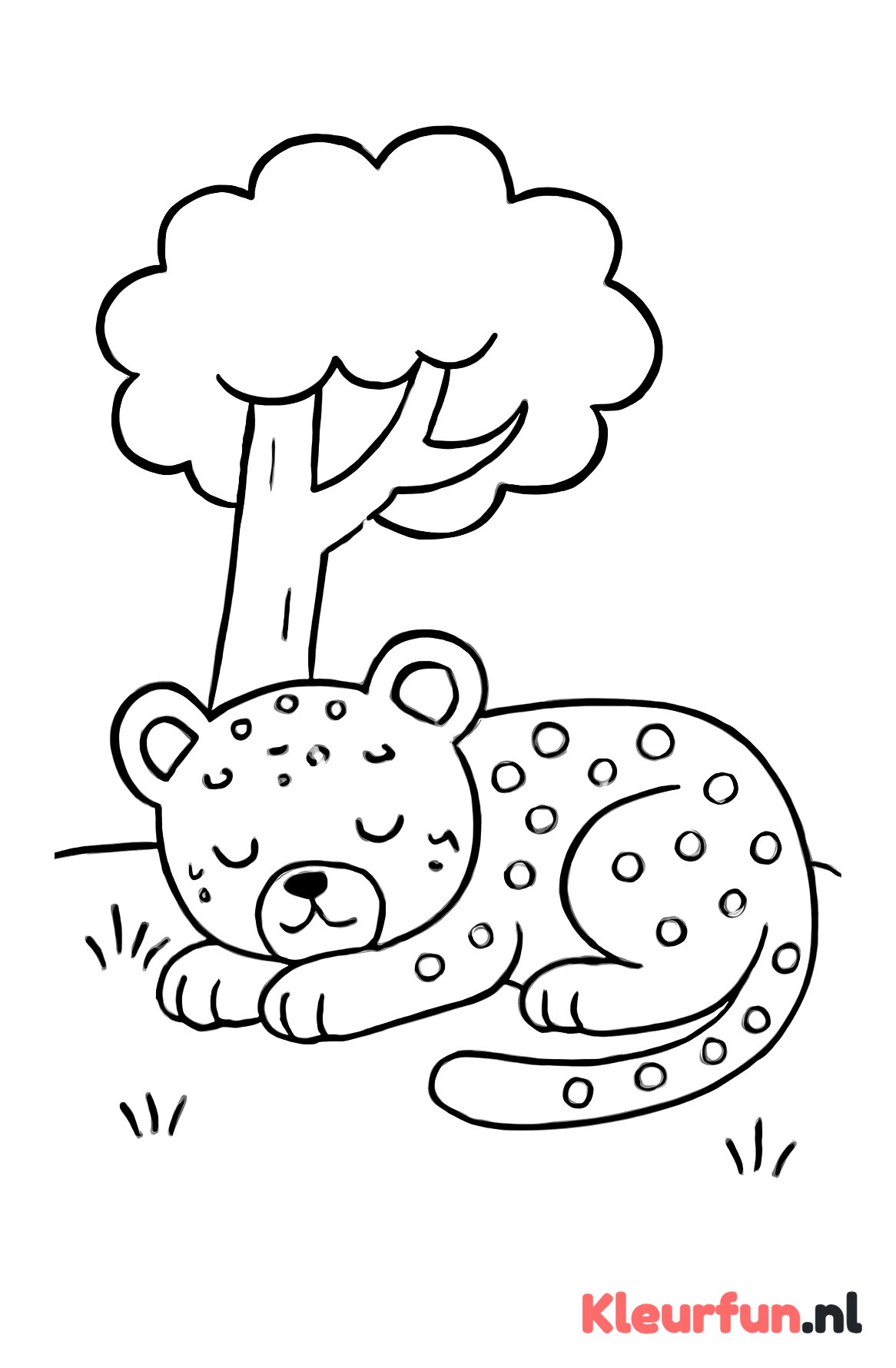 Panter slaapt onder een boom