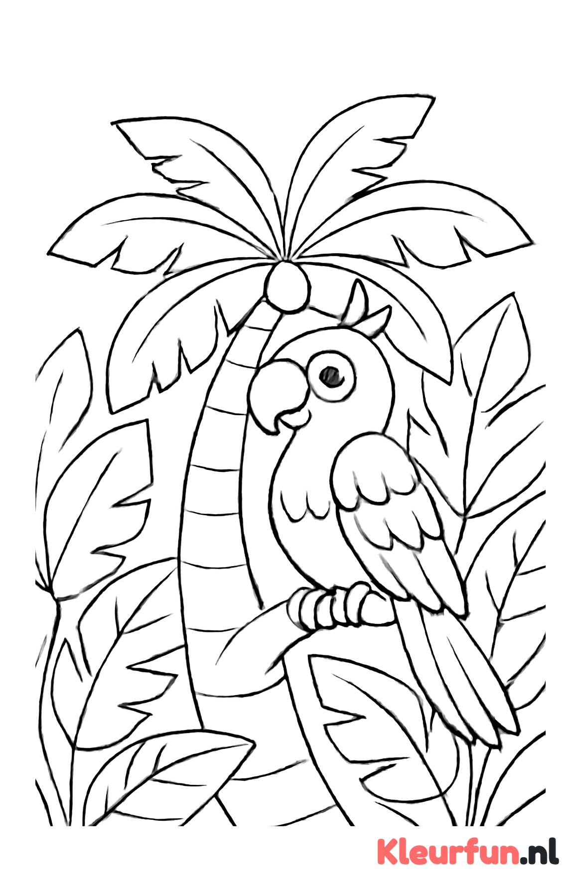 Papegaai in palmboom