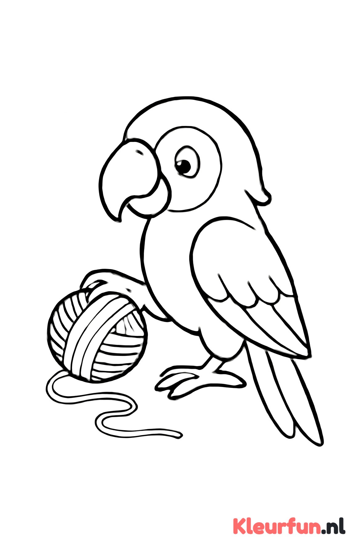 Papegaai speelt met wol