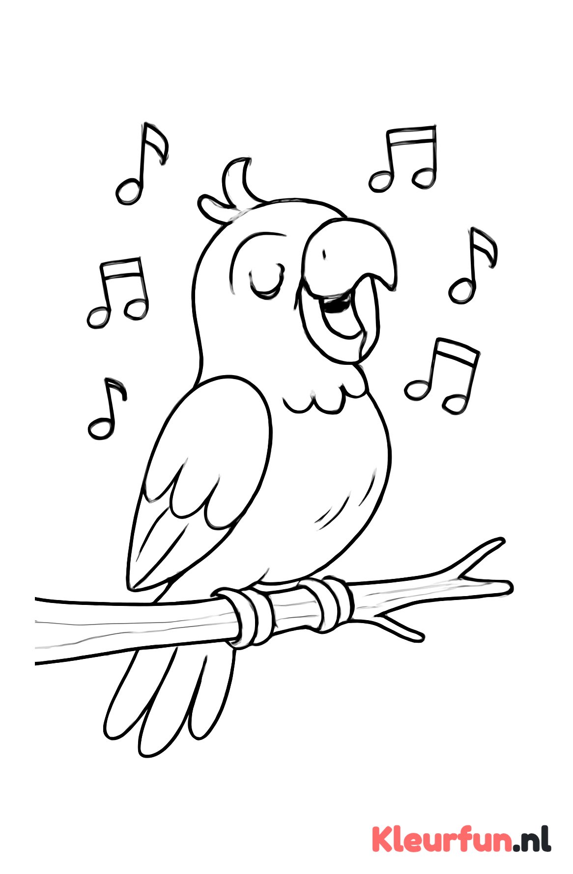 Papegaai zingt op tak