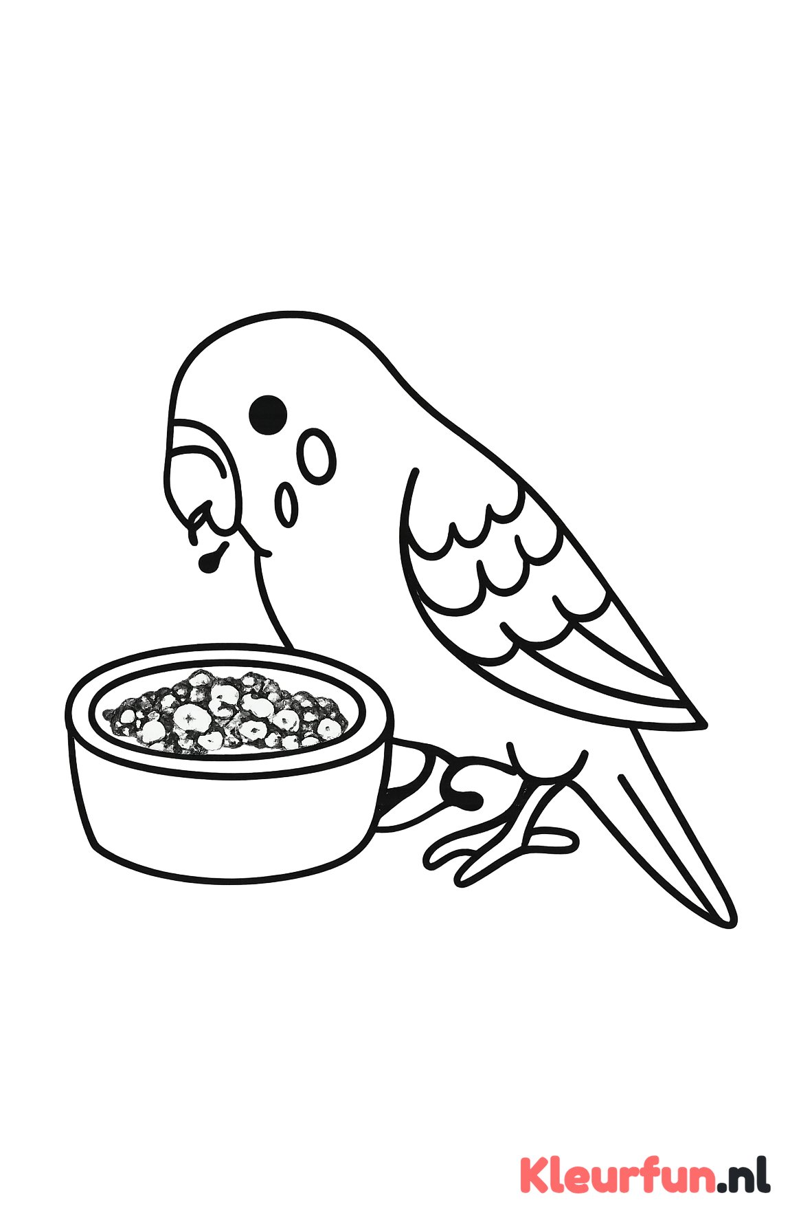 Parkiet eet uit een kom