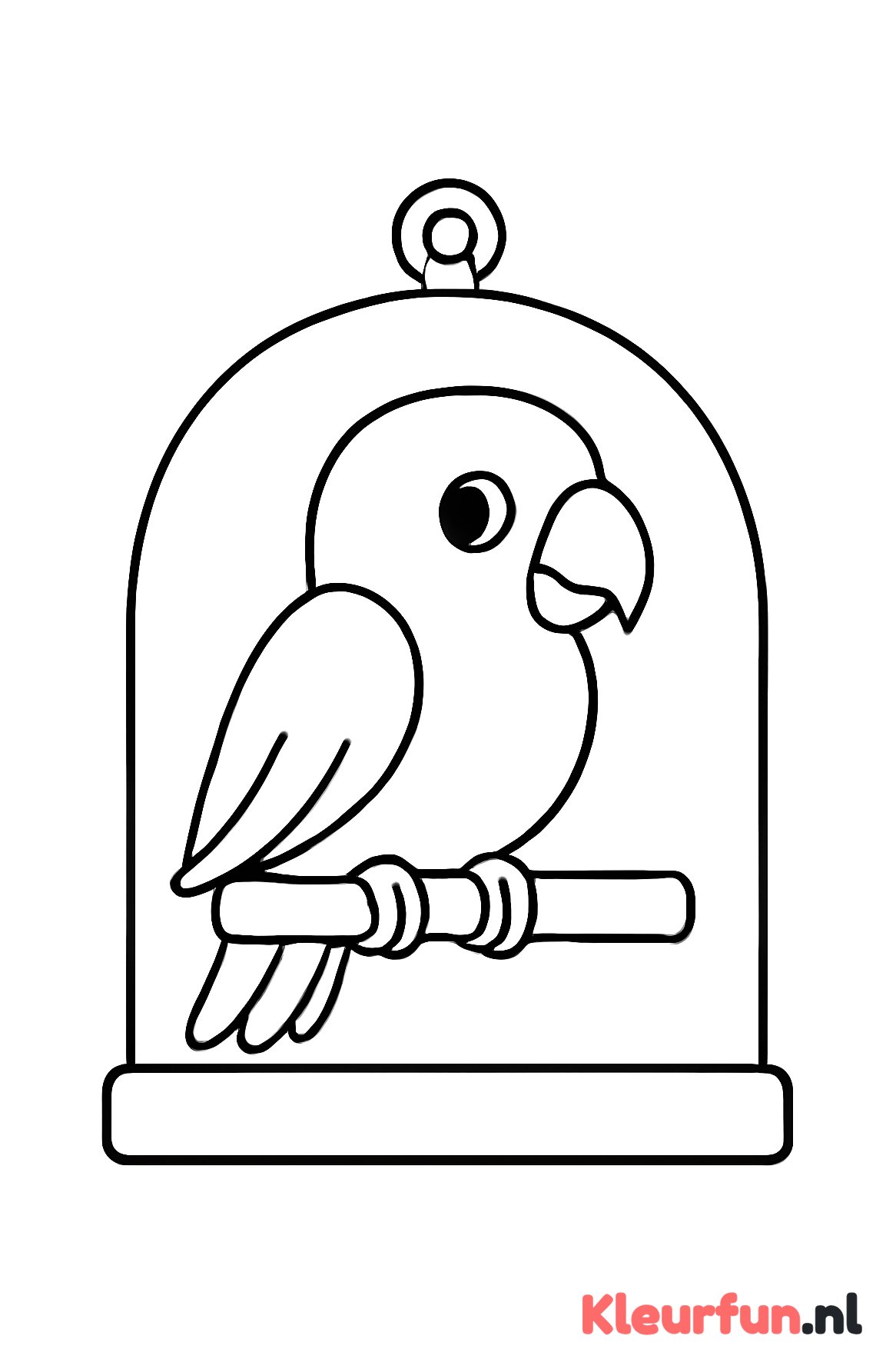 Parkiet kijkt uit de kooi