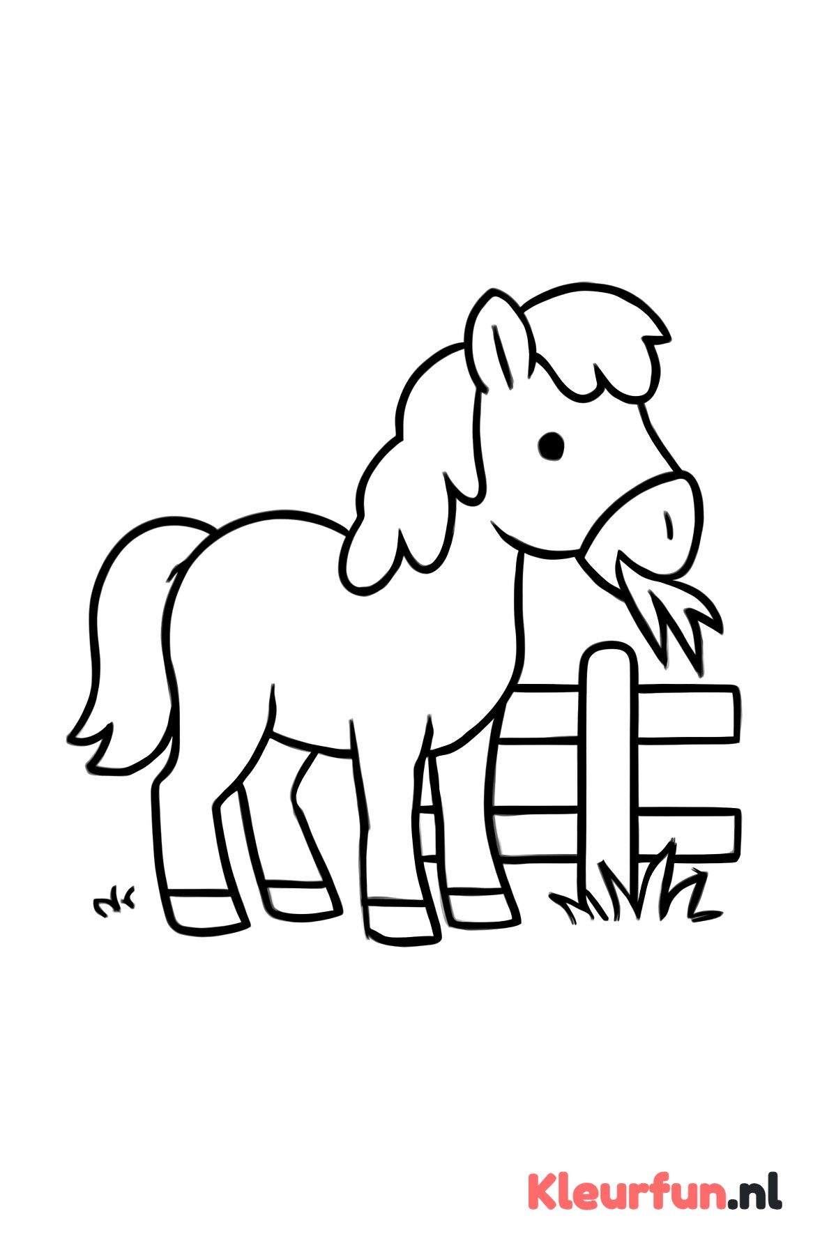 Pony aan het hek