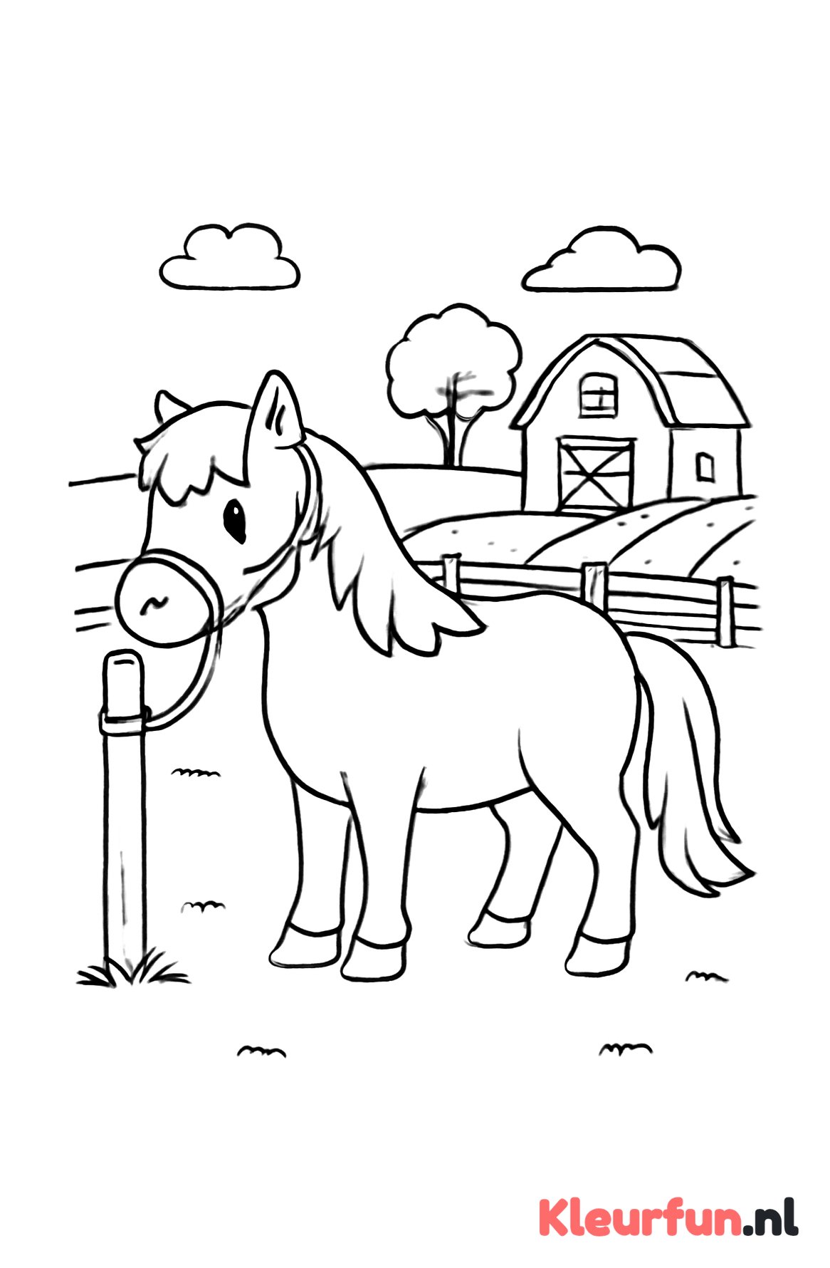 Pony Aan Paal op de Boerderij