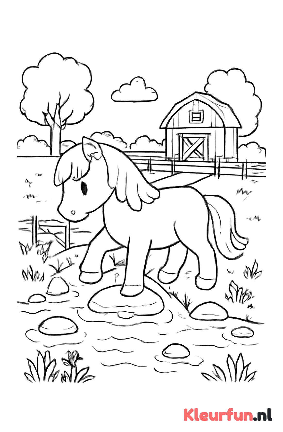 Pony Steekt Beekje Over