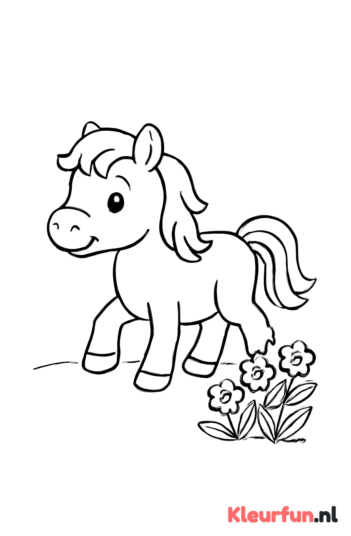 Pony bij het bloemenveld