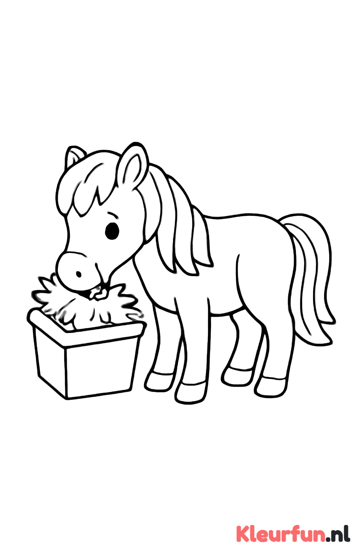Pony Eet uit de Voederbak