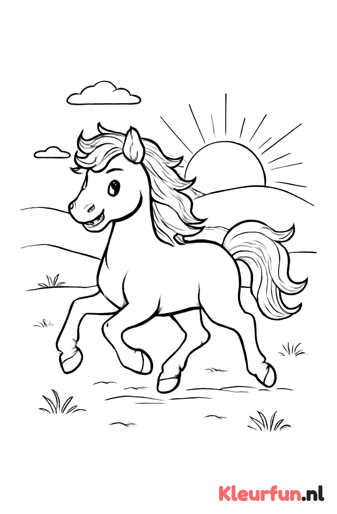 Galloperende pony bij zonsondergang