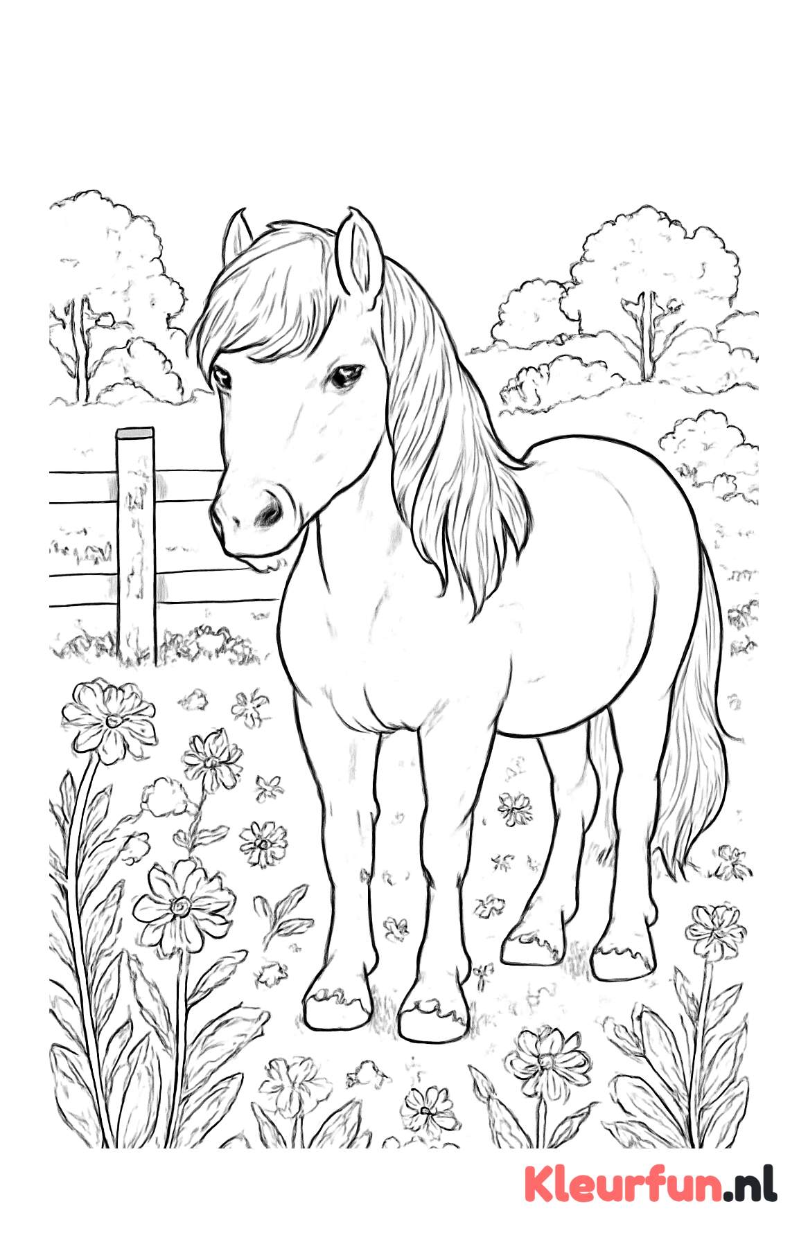 Pony in het weiland
