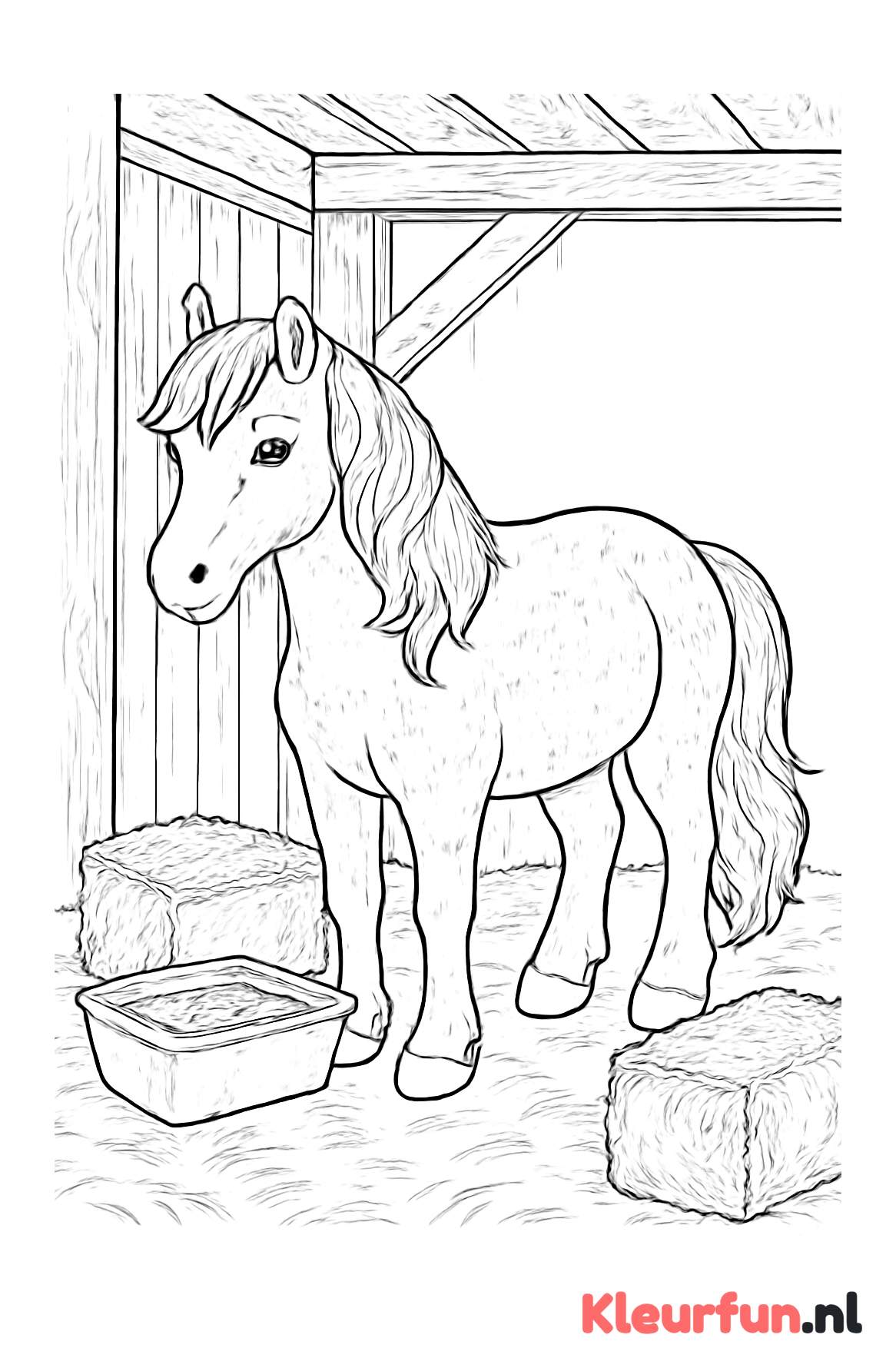 Pony in de stal