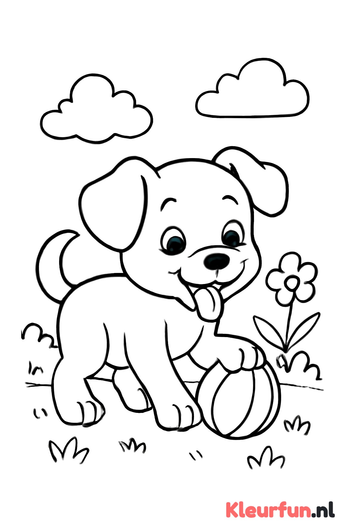 Puppy speelt met bal