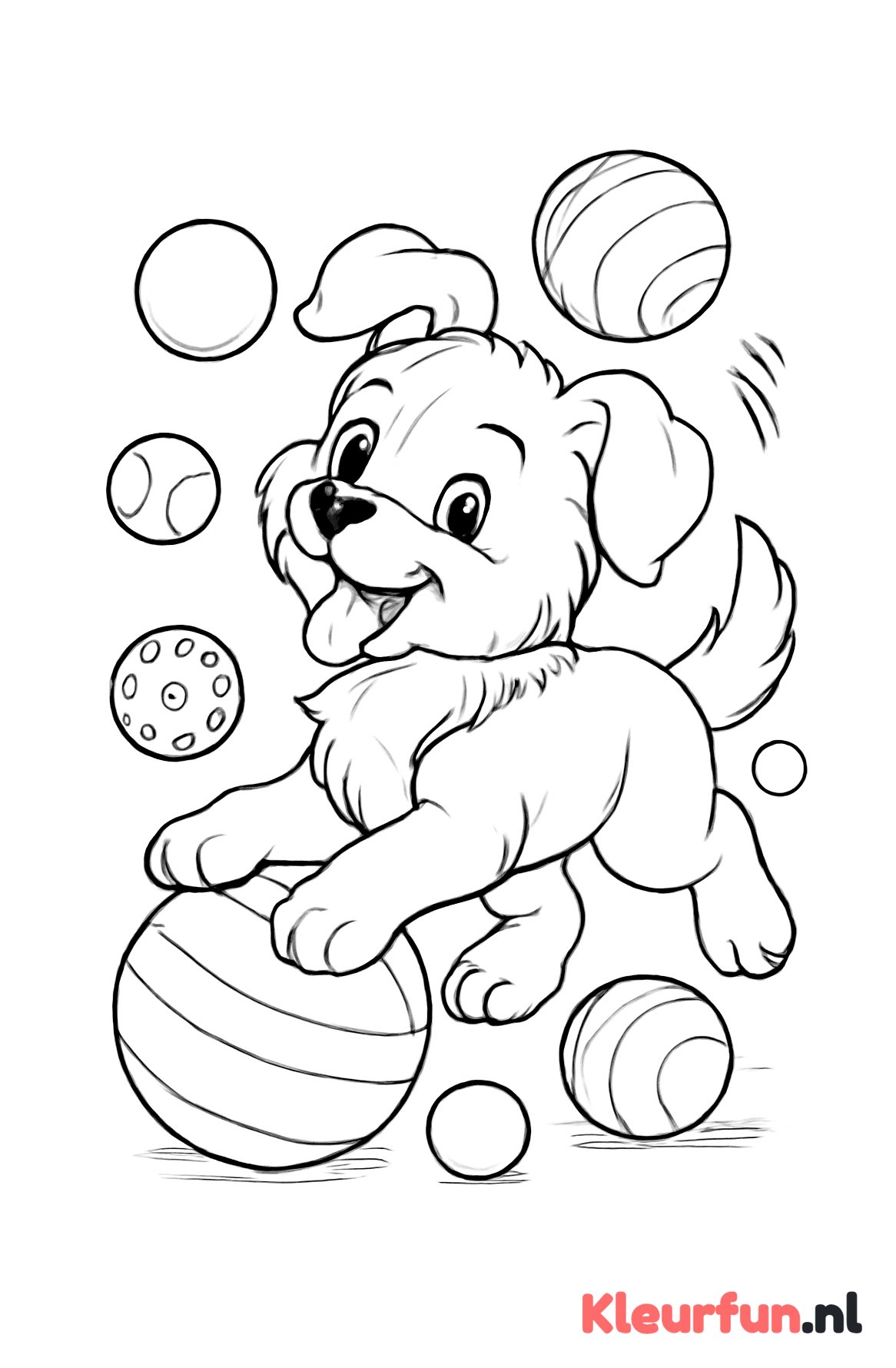 Puppy speelt met ballen