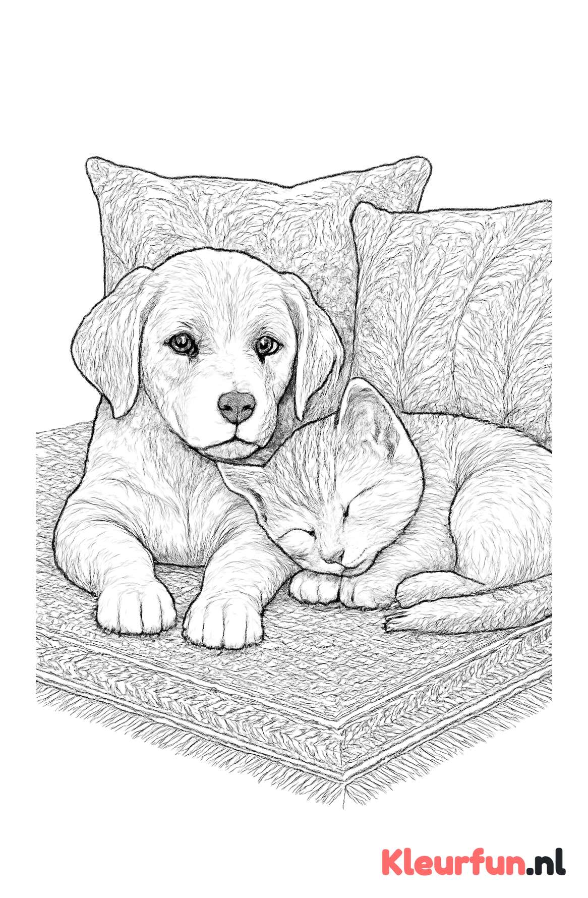 Puppy en slapende kitten