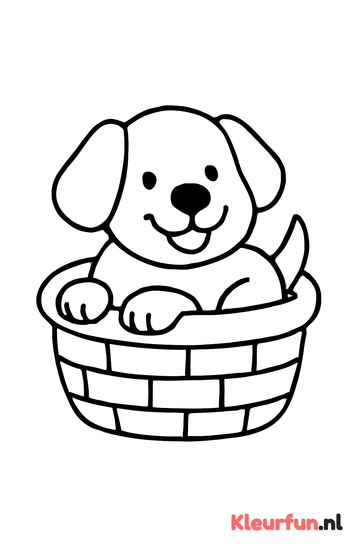 Puppy in mand