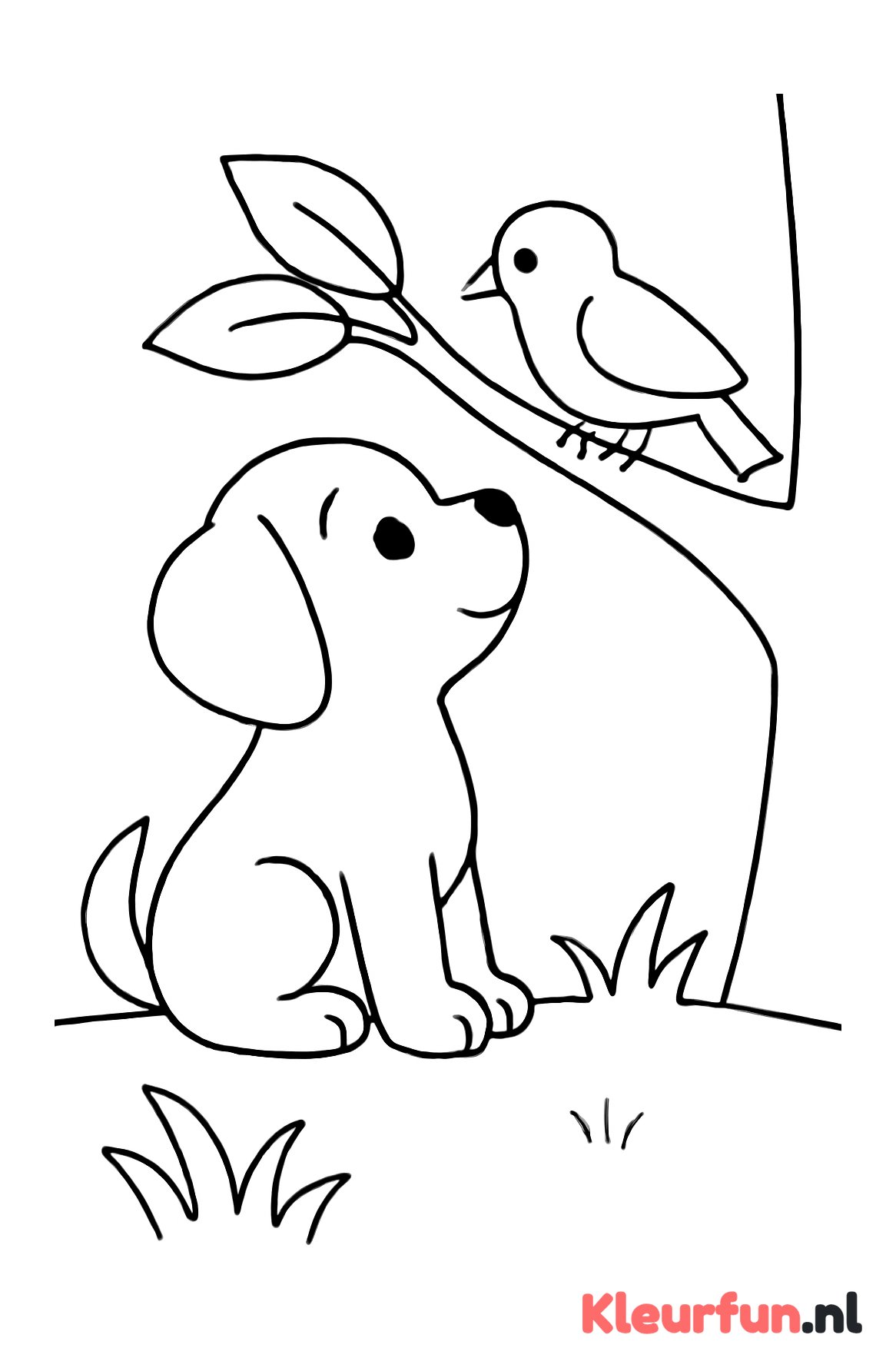 Puppy Kijkend naar Vogel