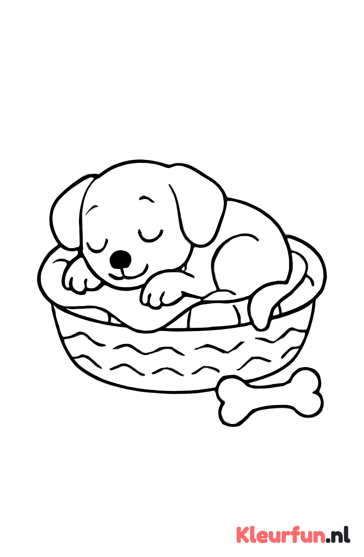 Puppy slaapt in mand