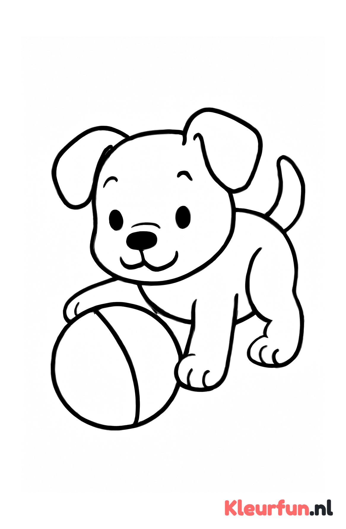 Puppy die speelt met een bal