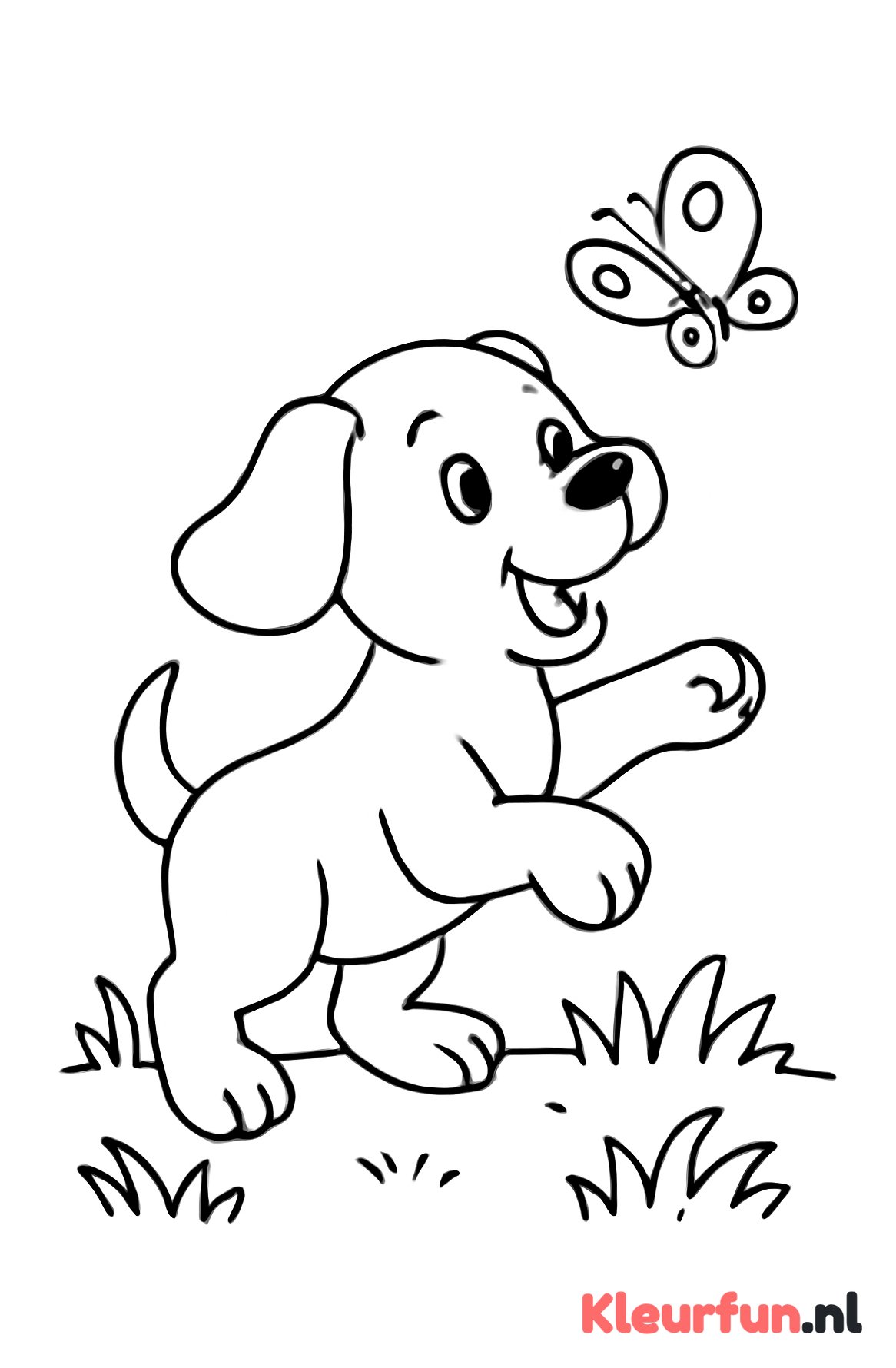 Puppy en Vlinder in het Gras