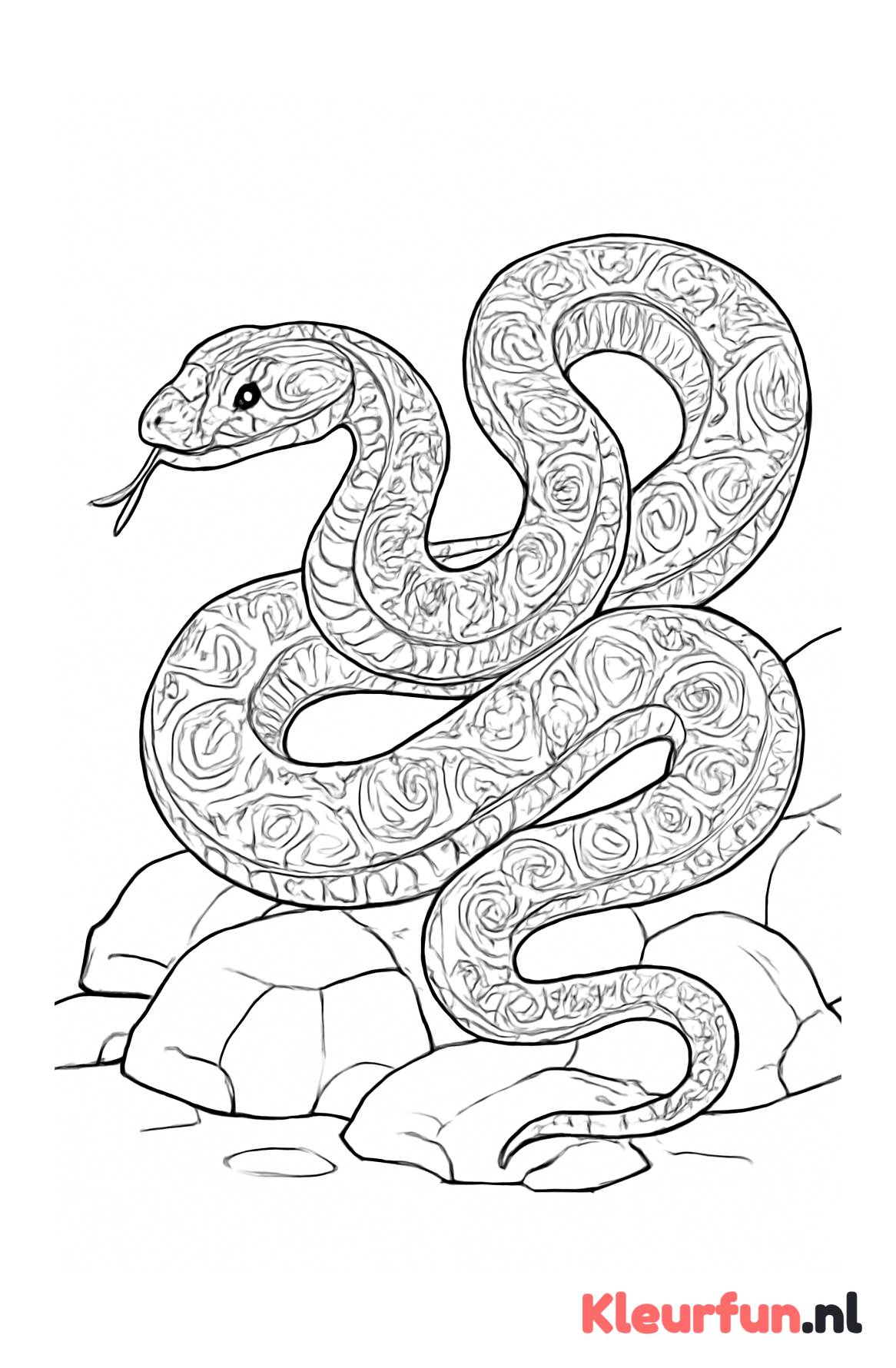 Python kronkelt over rotsen