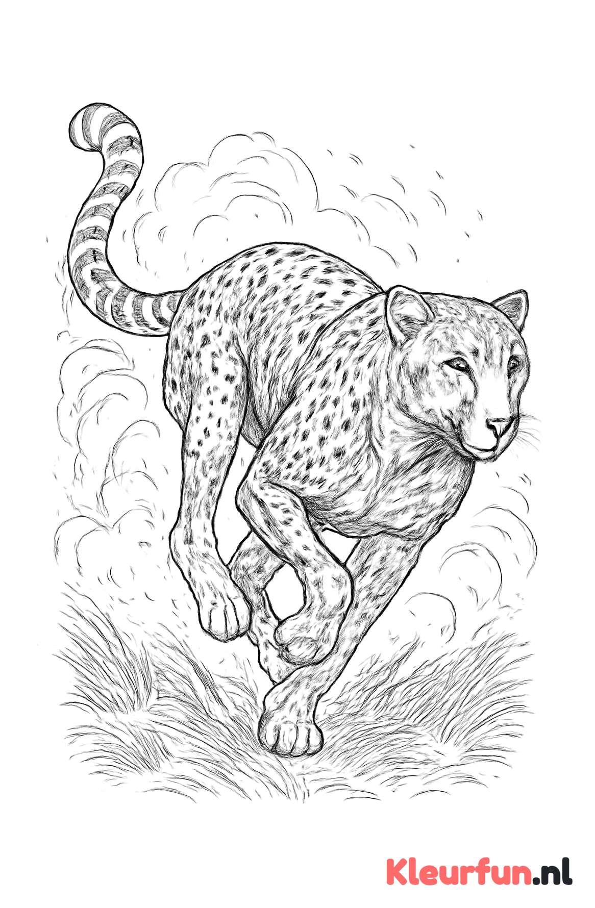 Rapide sprintende cheetah