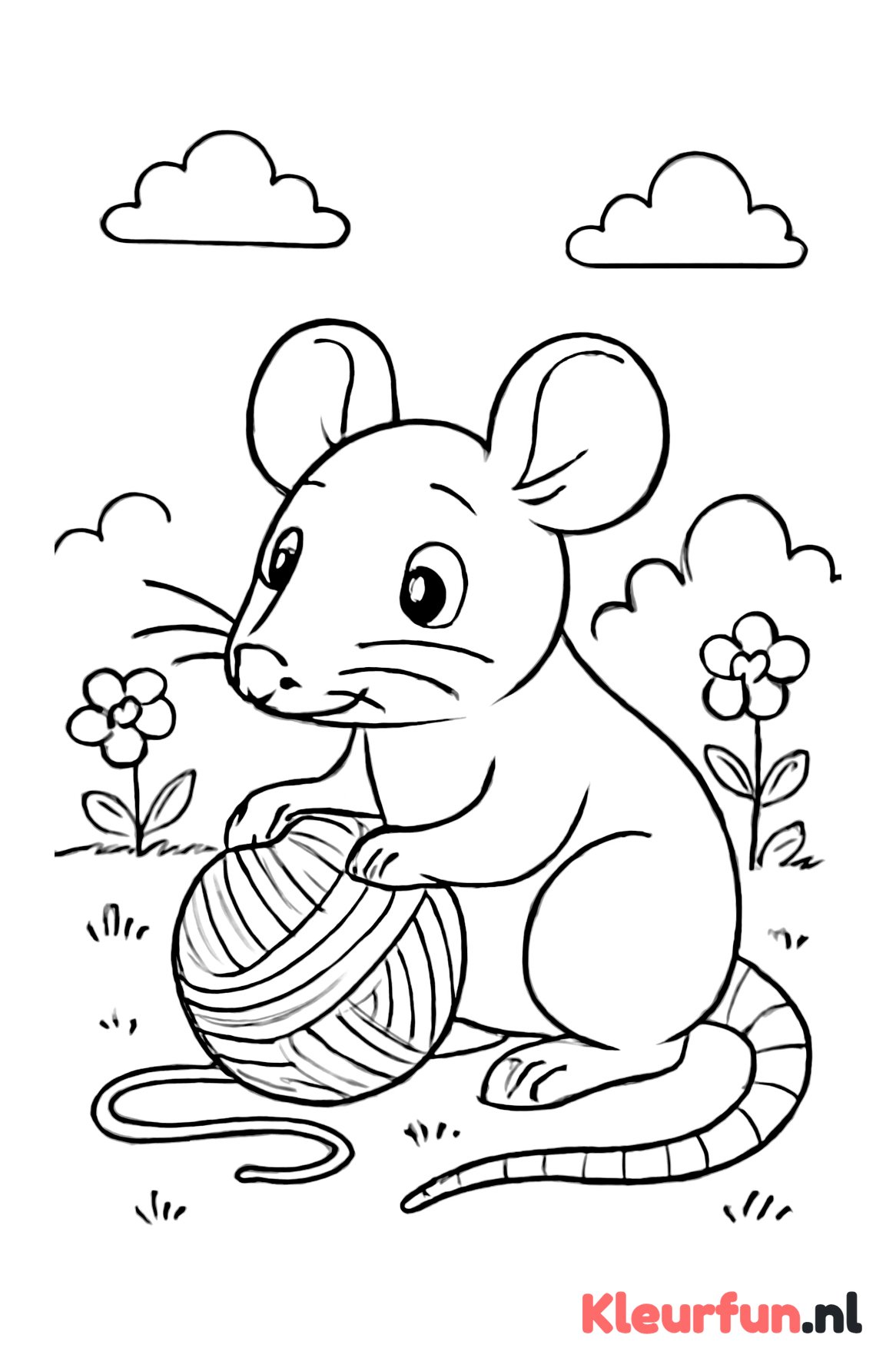 Rat speelt met bolletje wol