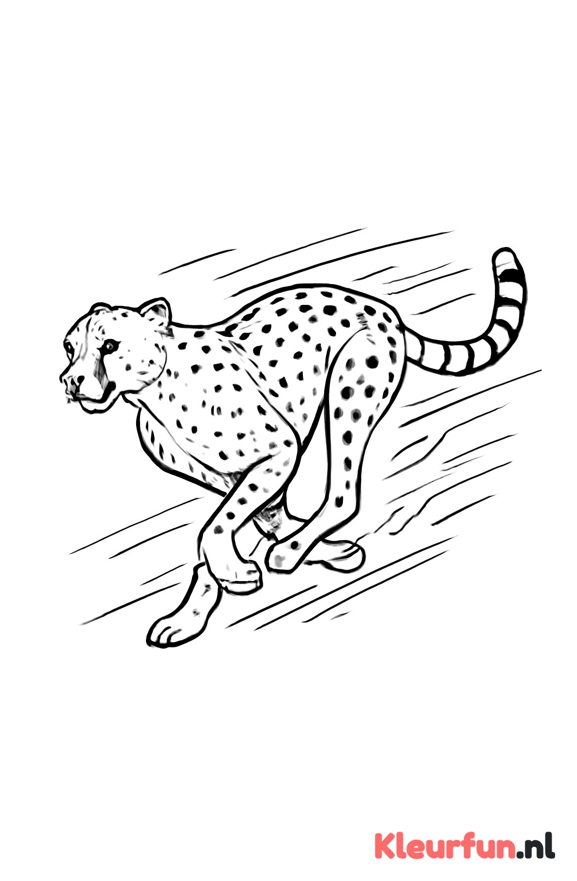 Rennende Cheetah