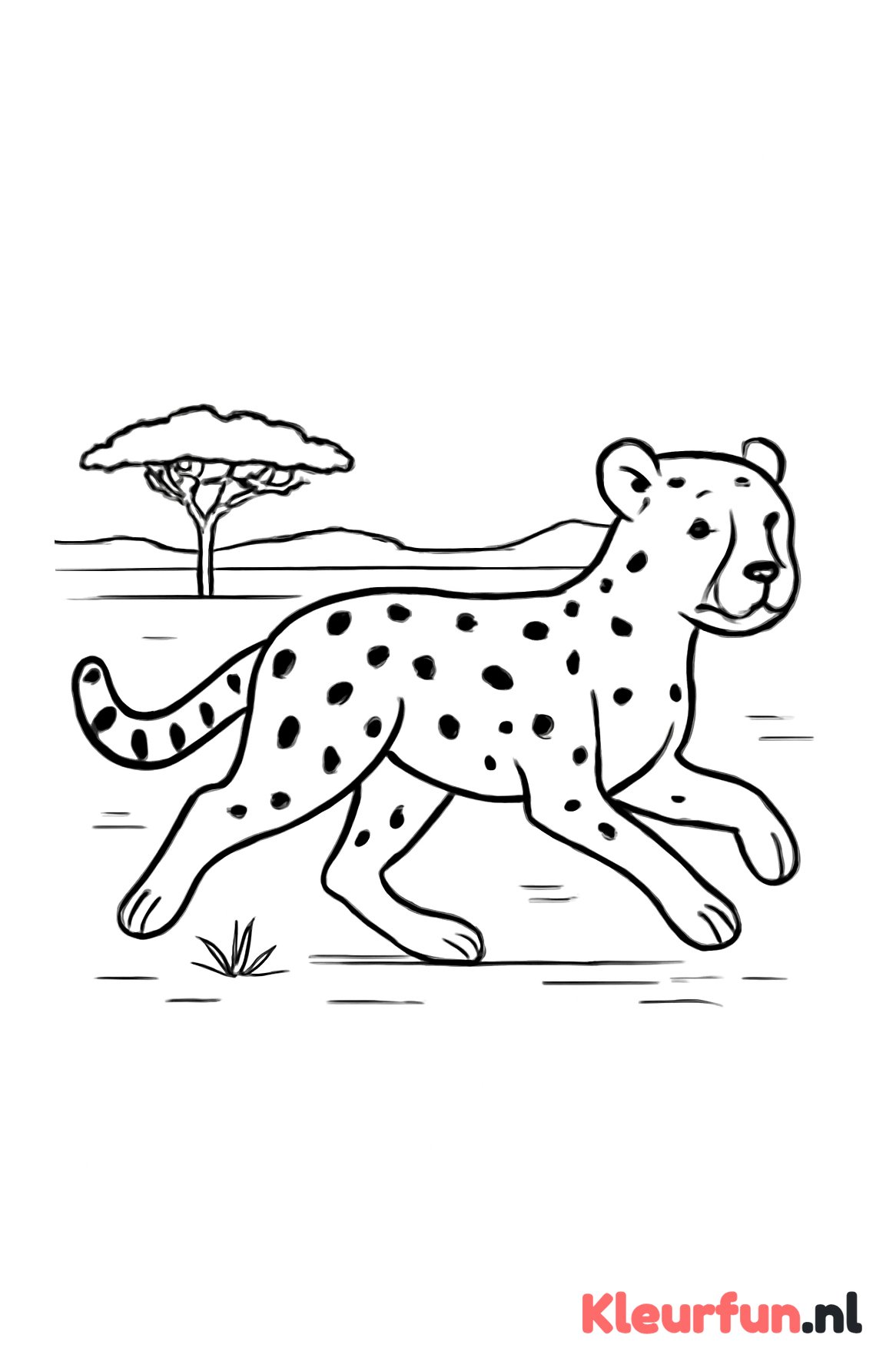 Rennende cheetah in open vlakte