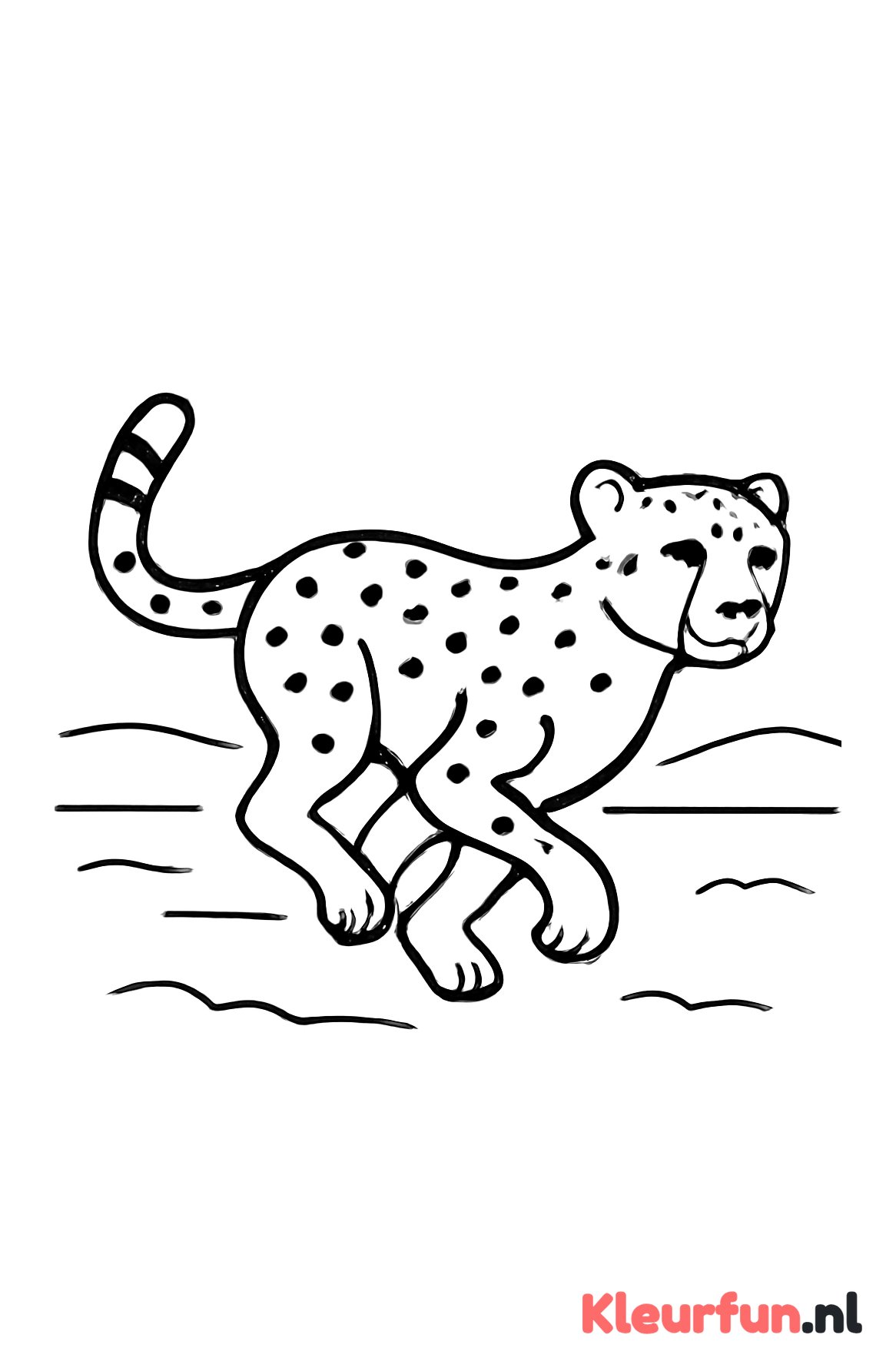 Rennende cheetah
