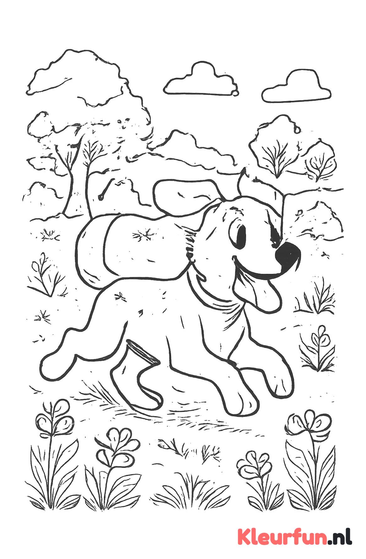 Rennende hond in het park