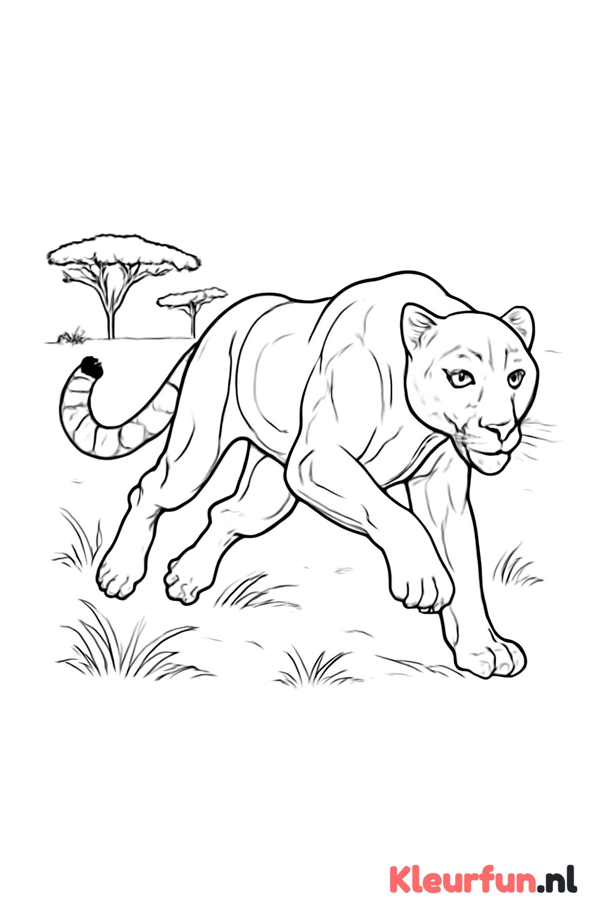 Rennende panter