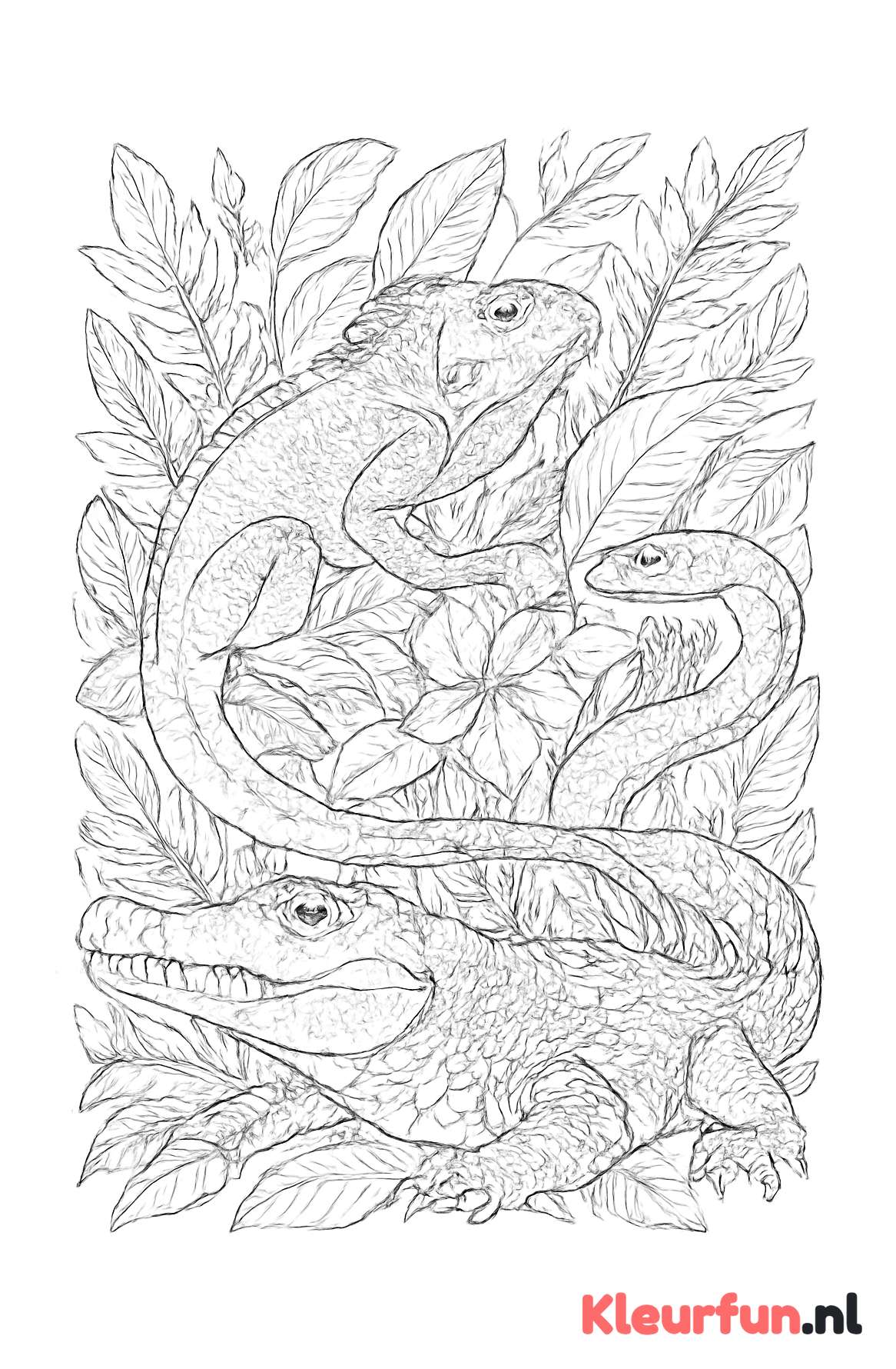 Reptielen in botanische omgeving
