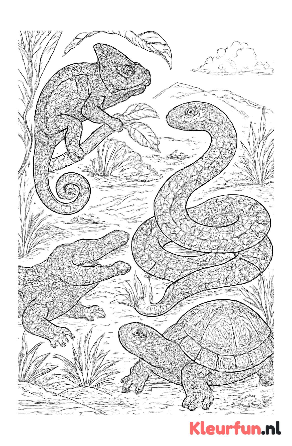 Gedetailleerde reptielenstructuren