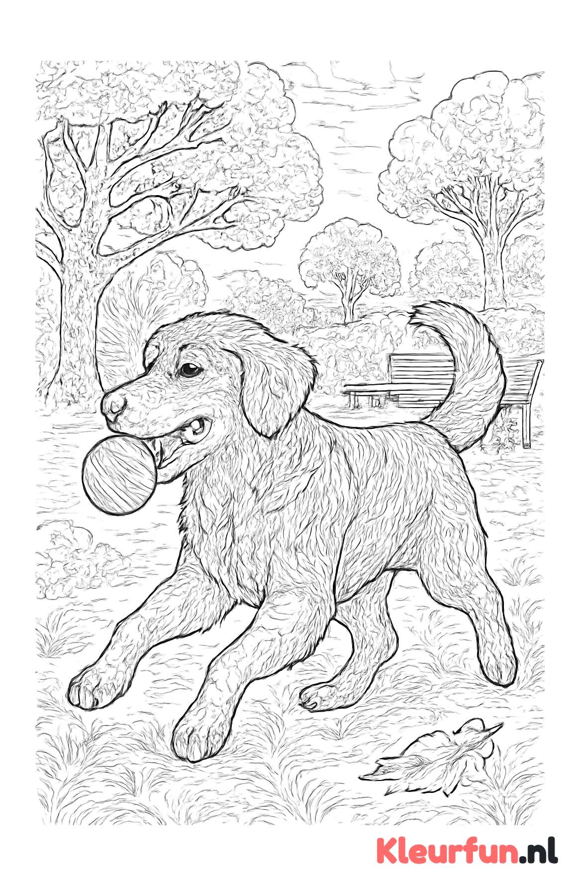 Retriever Spelend in het Park