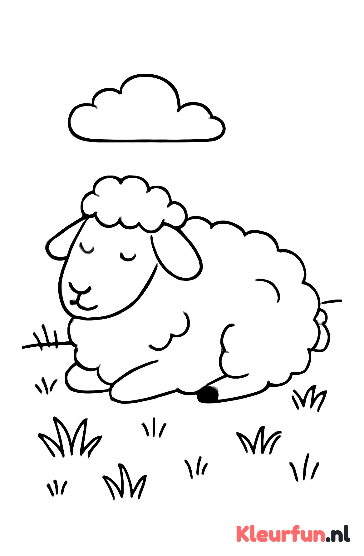 Rustend Schaap in de Wei