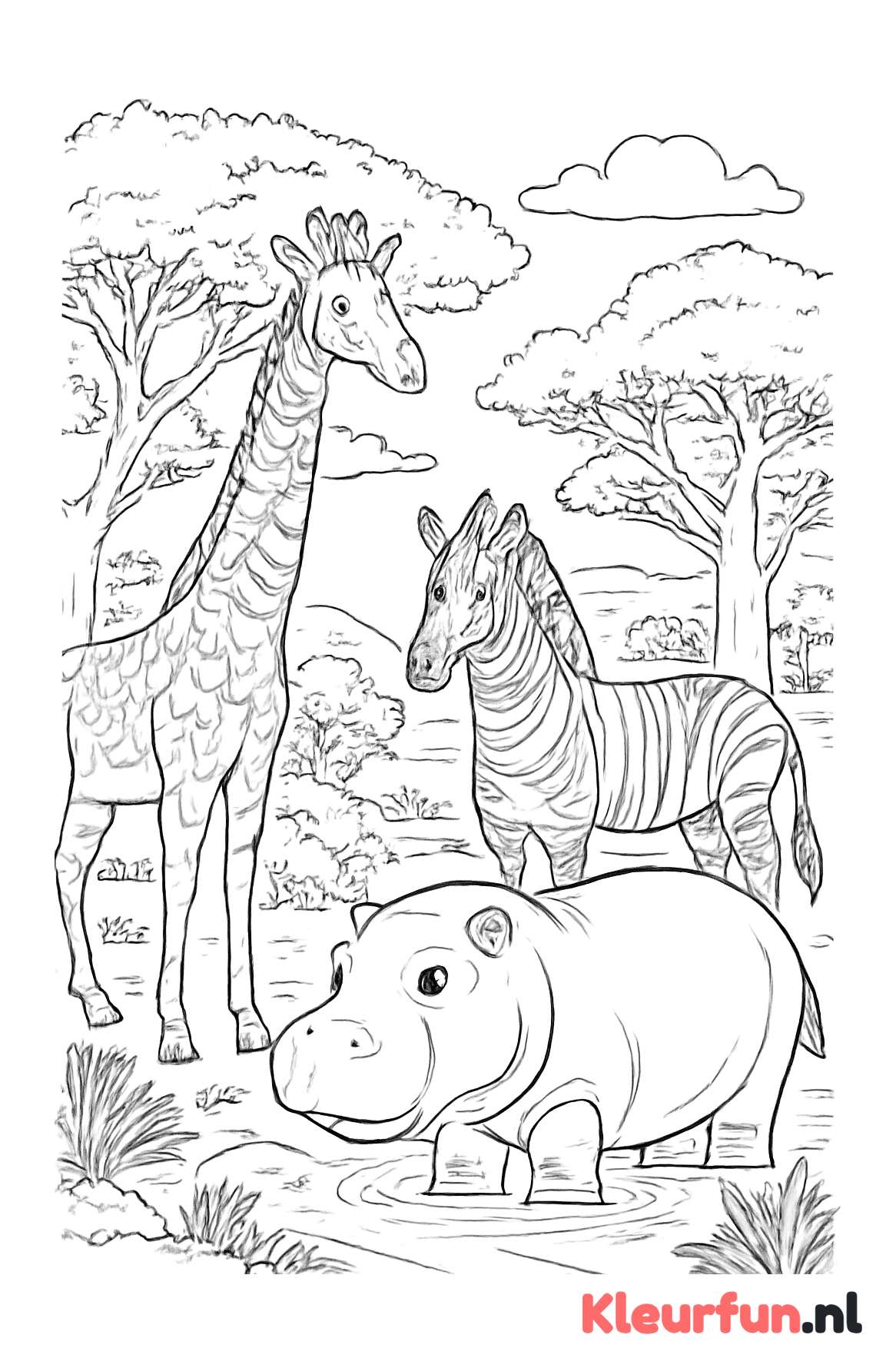 Safari met Giraffe, Zebra en Nijlpaard