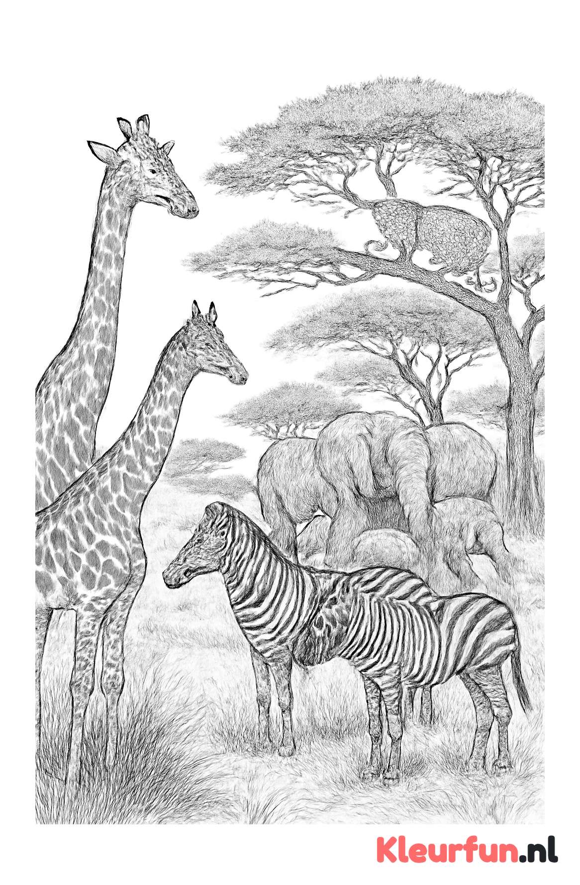 Safari dieren in de savanne
