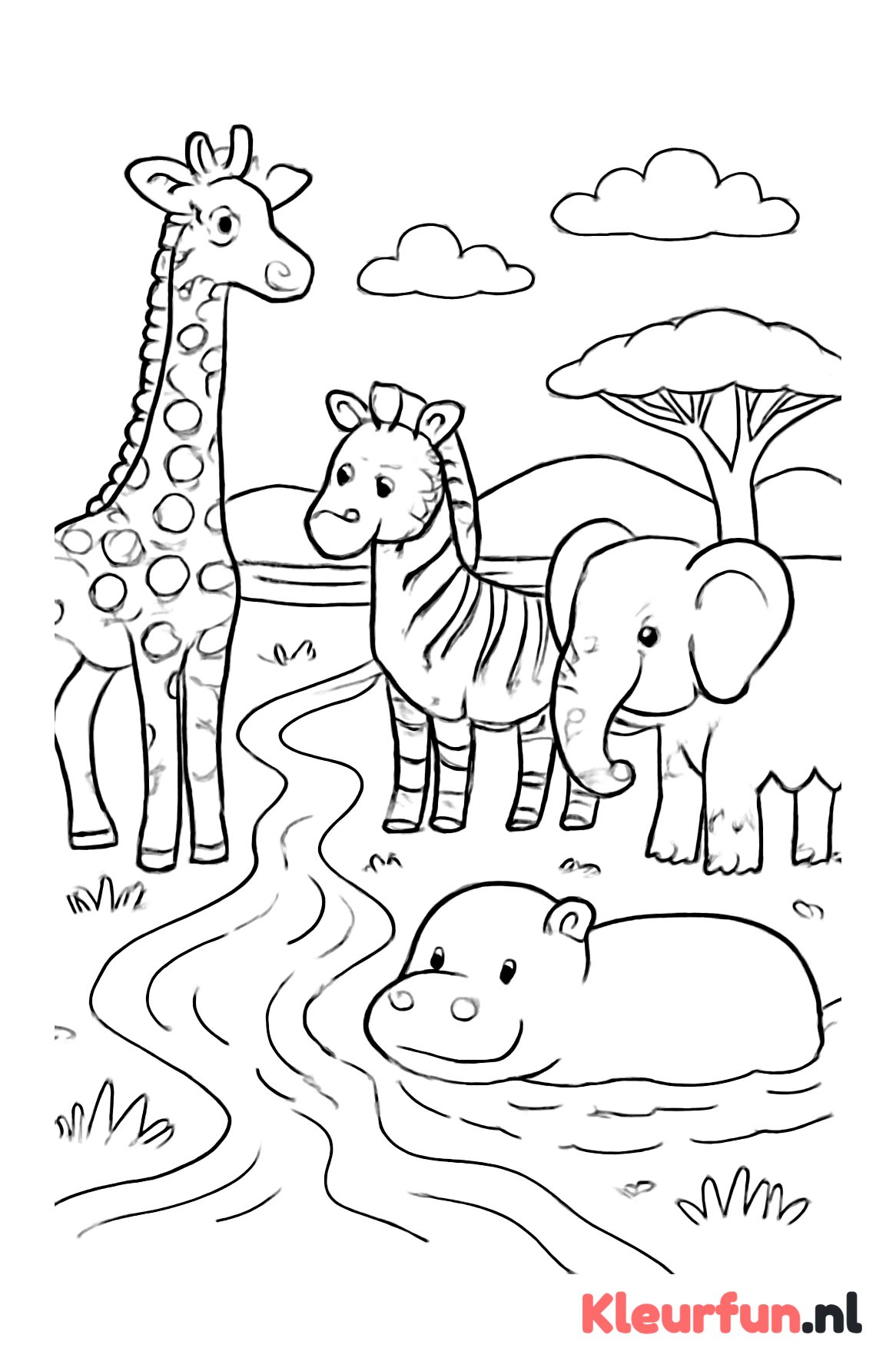 Safari met giraffe en zebra aan rivier